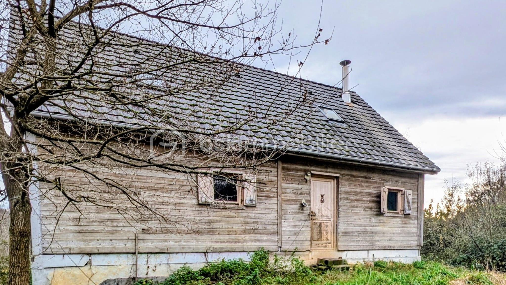 WhatsApp Image 2026-03-12 at 15.59.00.jpeg