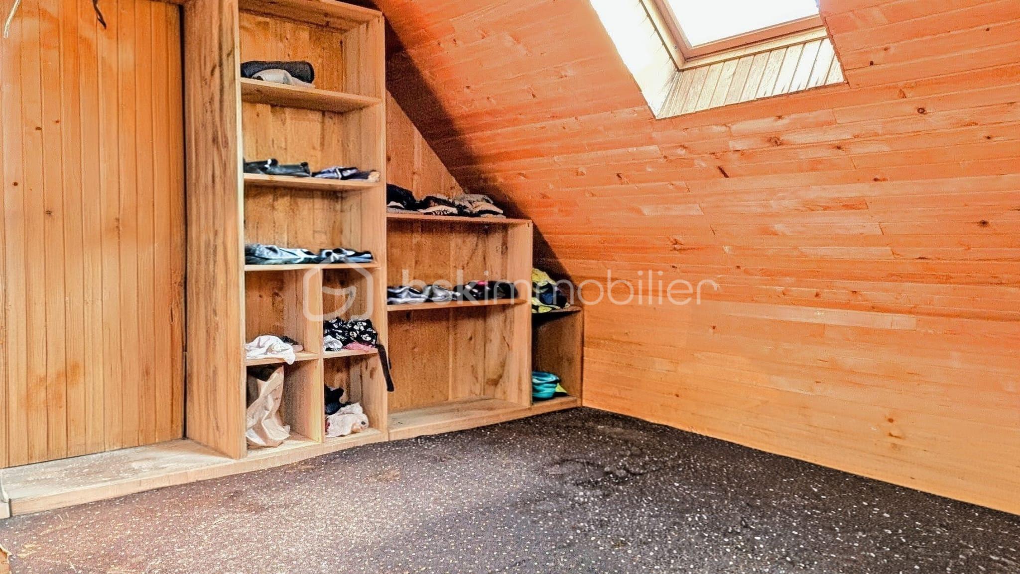 WhatsApp Image 2026-03-12 at 15.54.08.jpeg