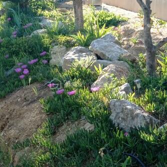 JARDIN 2.jpg