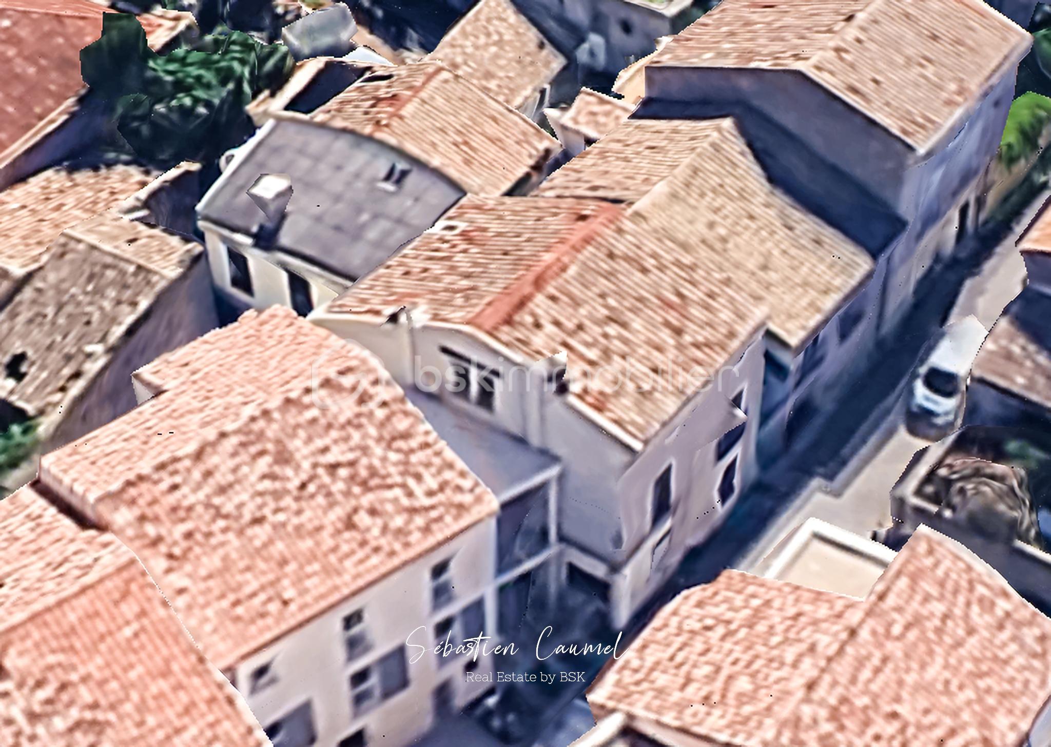 VUE DU CIEL 2 copie.jpg