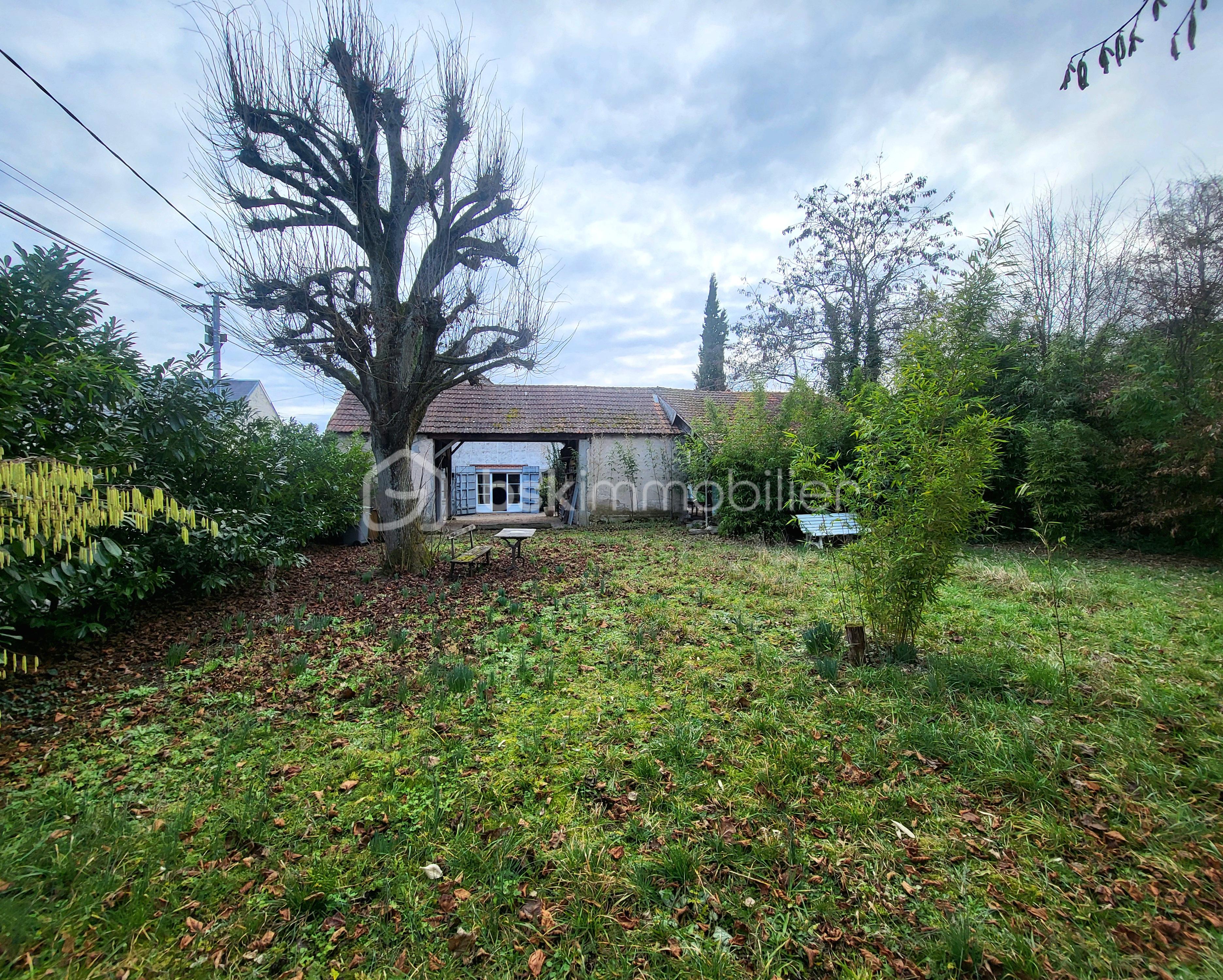 Terrain derrière.jpg