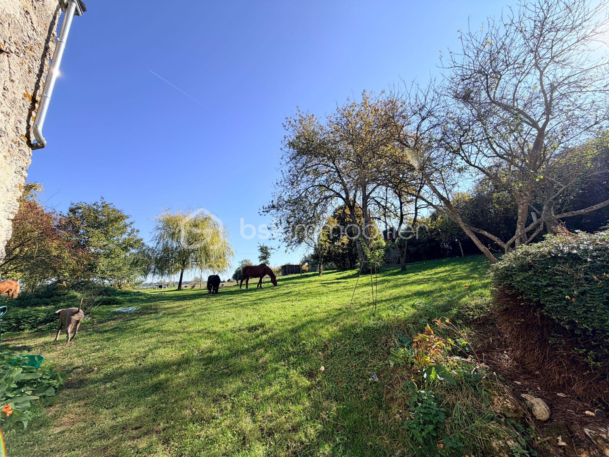 WhatsApp Image 2025-12-22 at 20.57.03 (2).jpeg