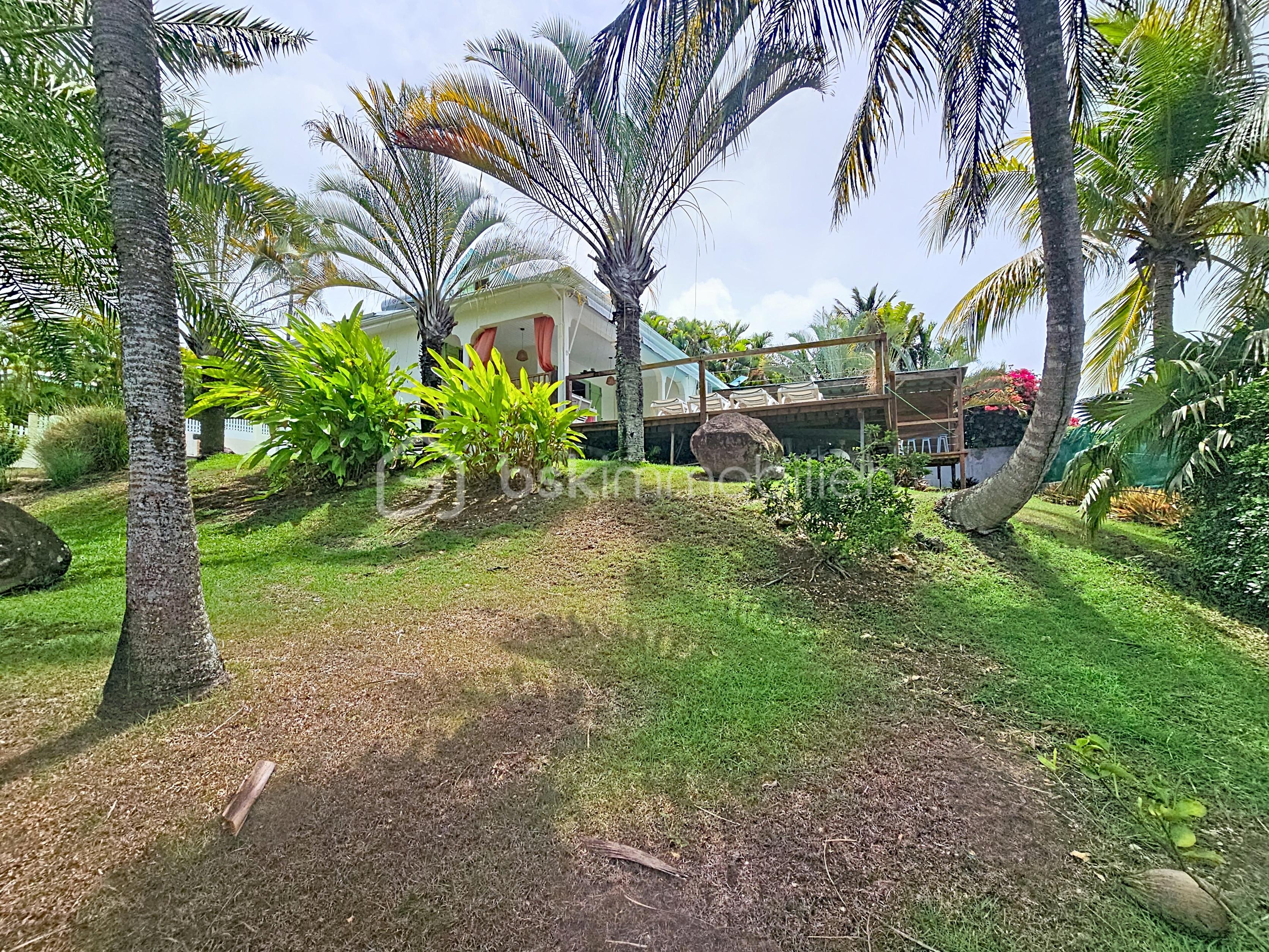 gonzales-daniel-villa-ti-citron_00010.jpg