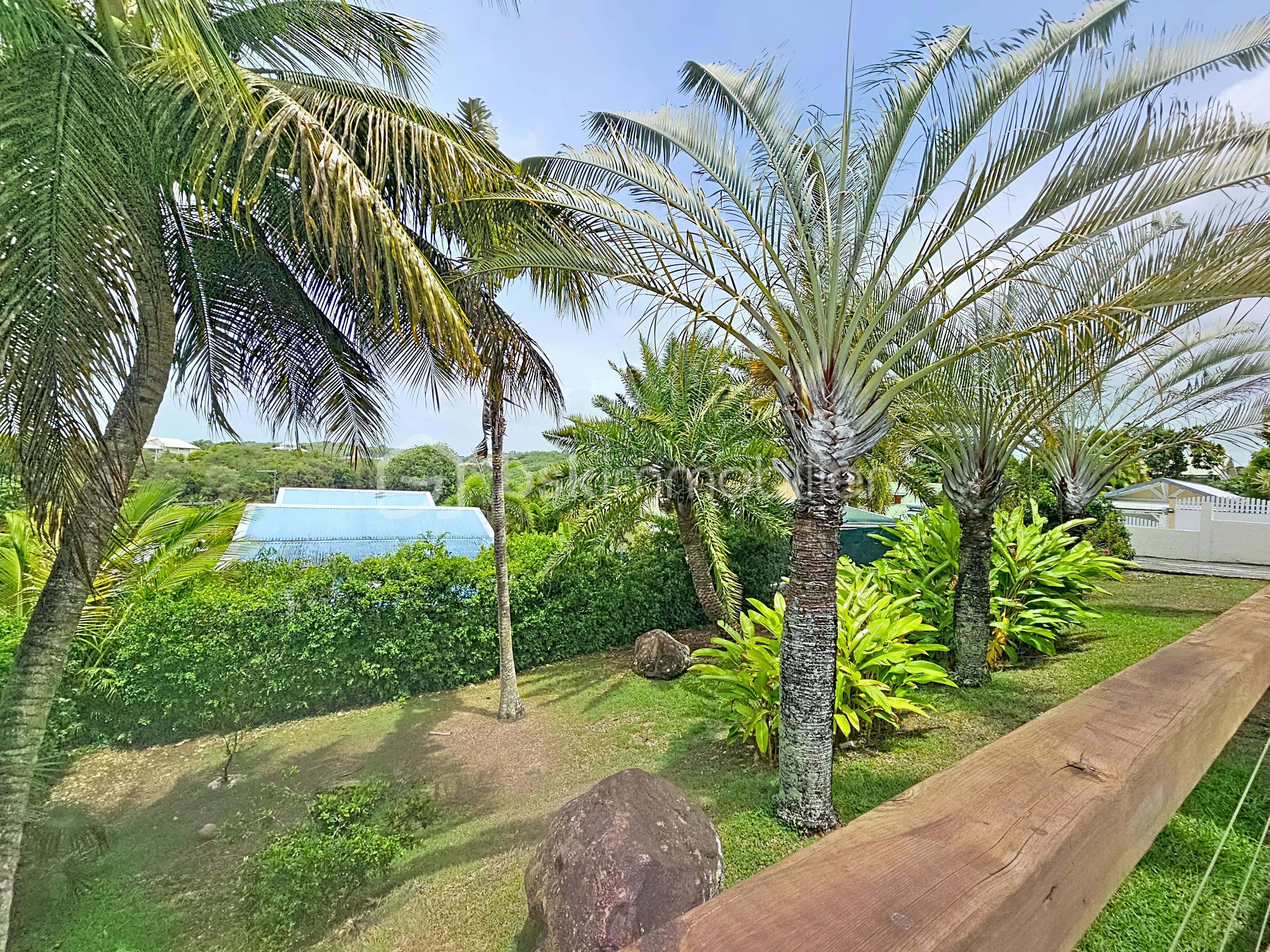 gonzales-daniel-villa-ti-citron_00037.jpg