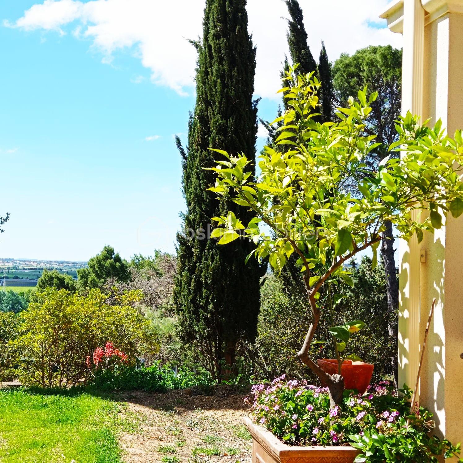 photo jardin oranger.jpg