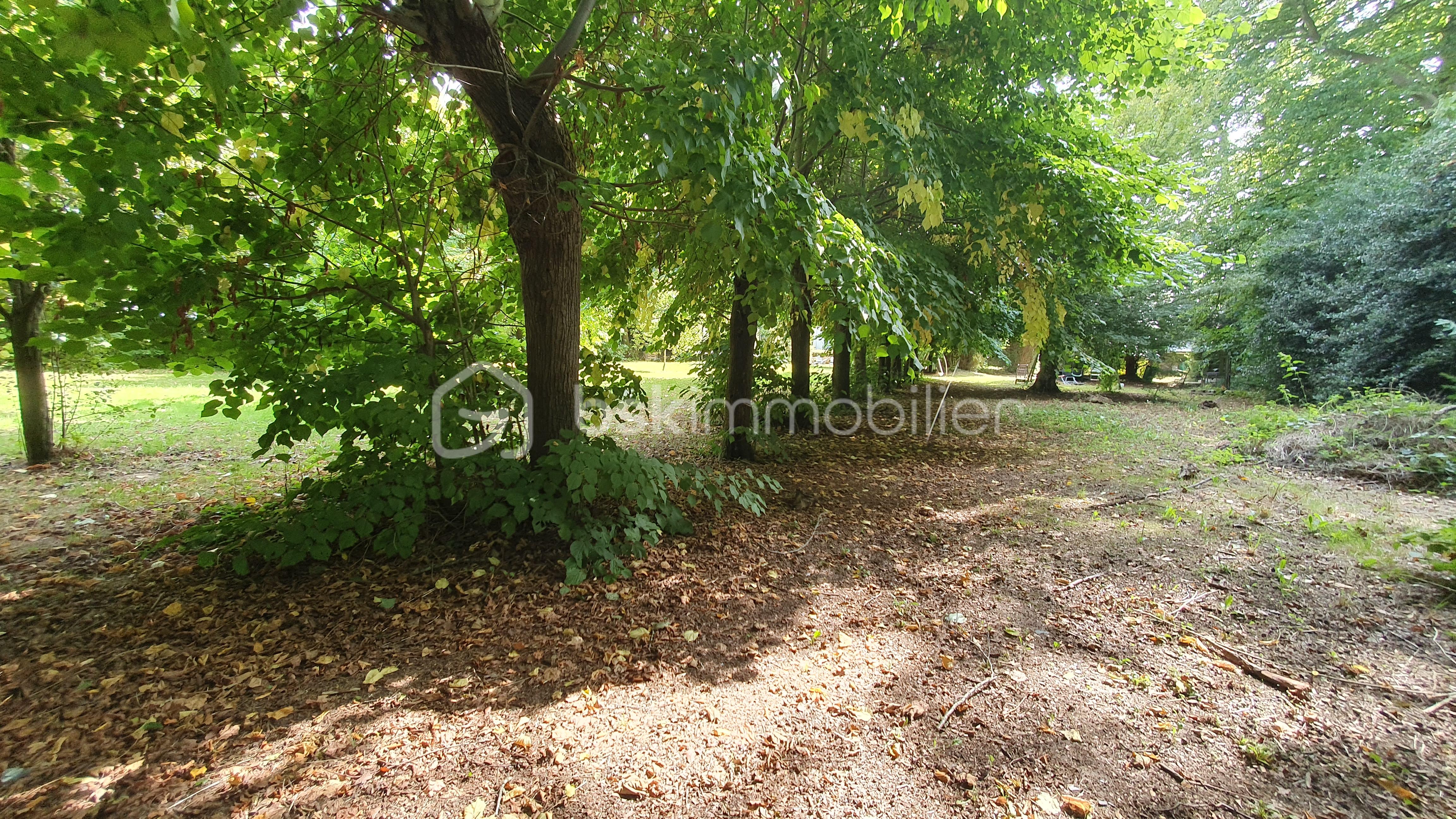 Maison de 200 m² - 20250908_150535.jpg