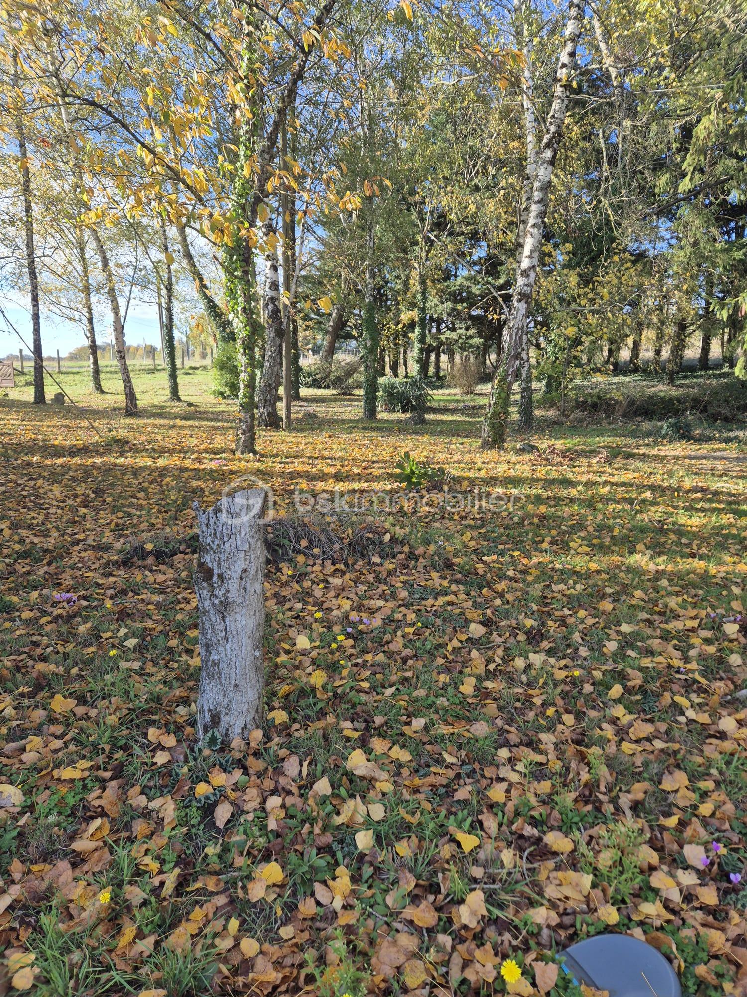 Maison de 123 m² - IMG-20251101-WA0003.jpg