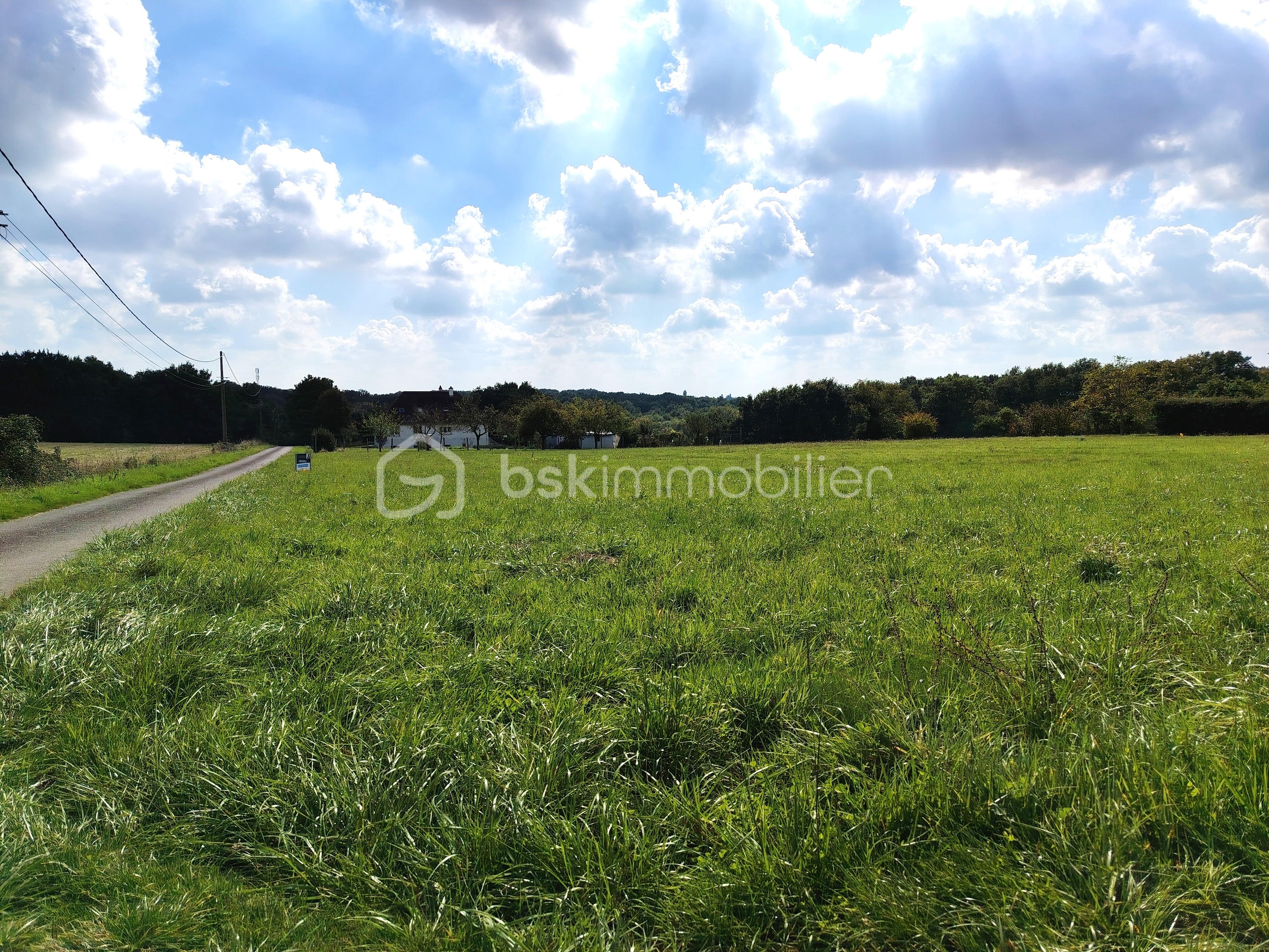 Terrain de 733 m² - IMG_20250930_140044.jpg