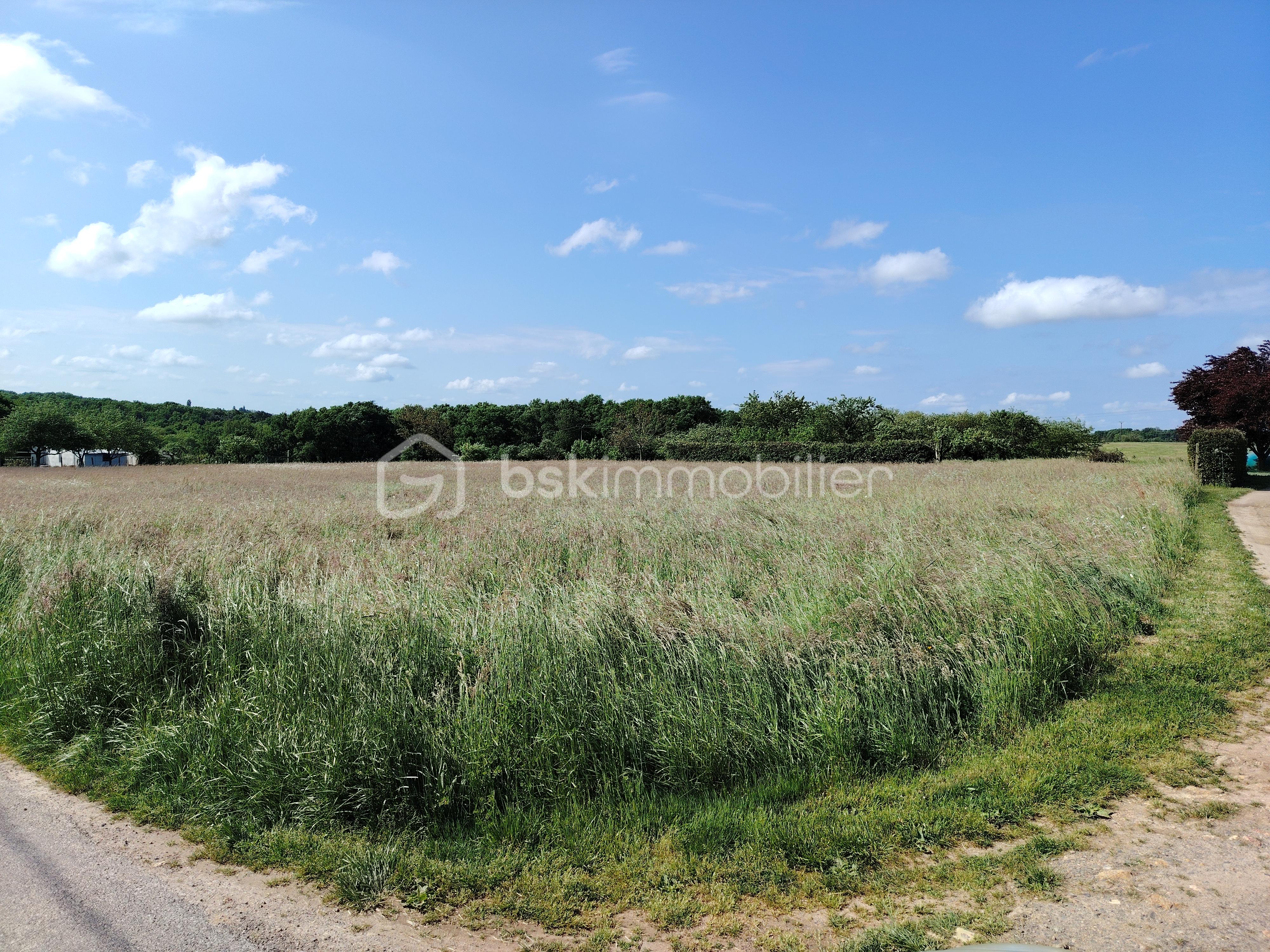 Terrain de 733 m² - IMG_20250505_105804.jpg