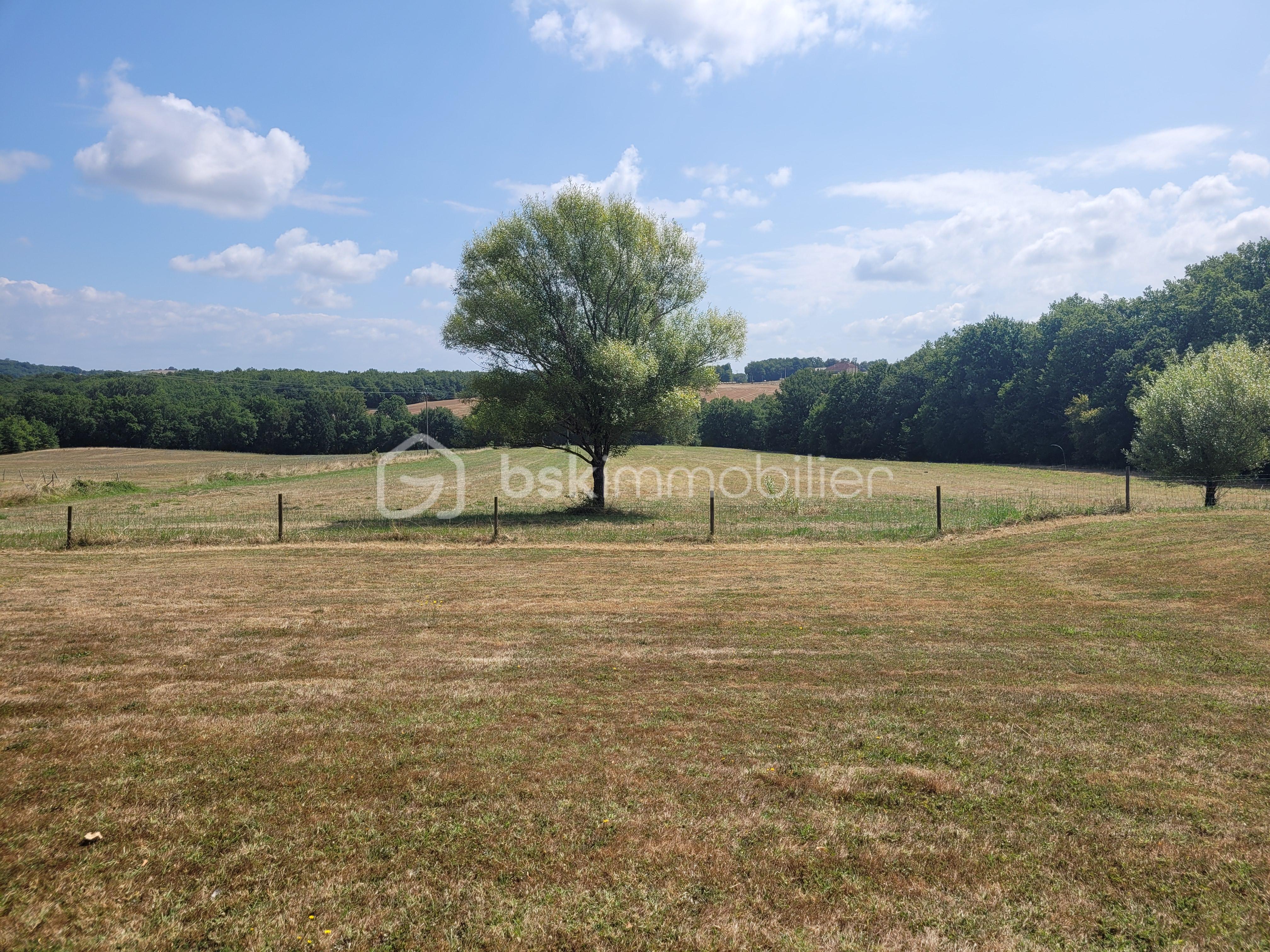 Maison de 366 m² - 20250729_120614.jpg