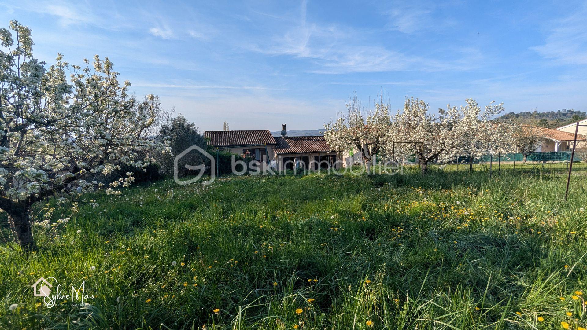 Photos Lucie (1).jpg