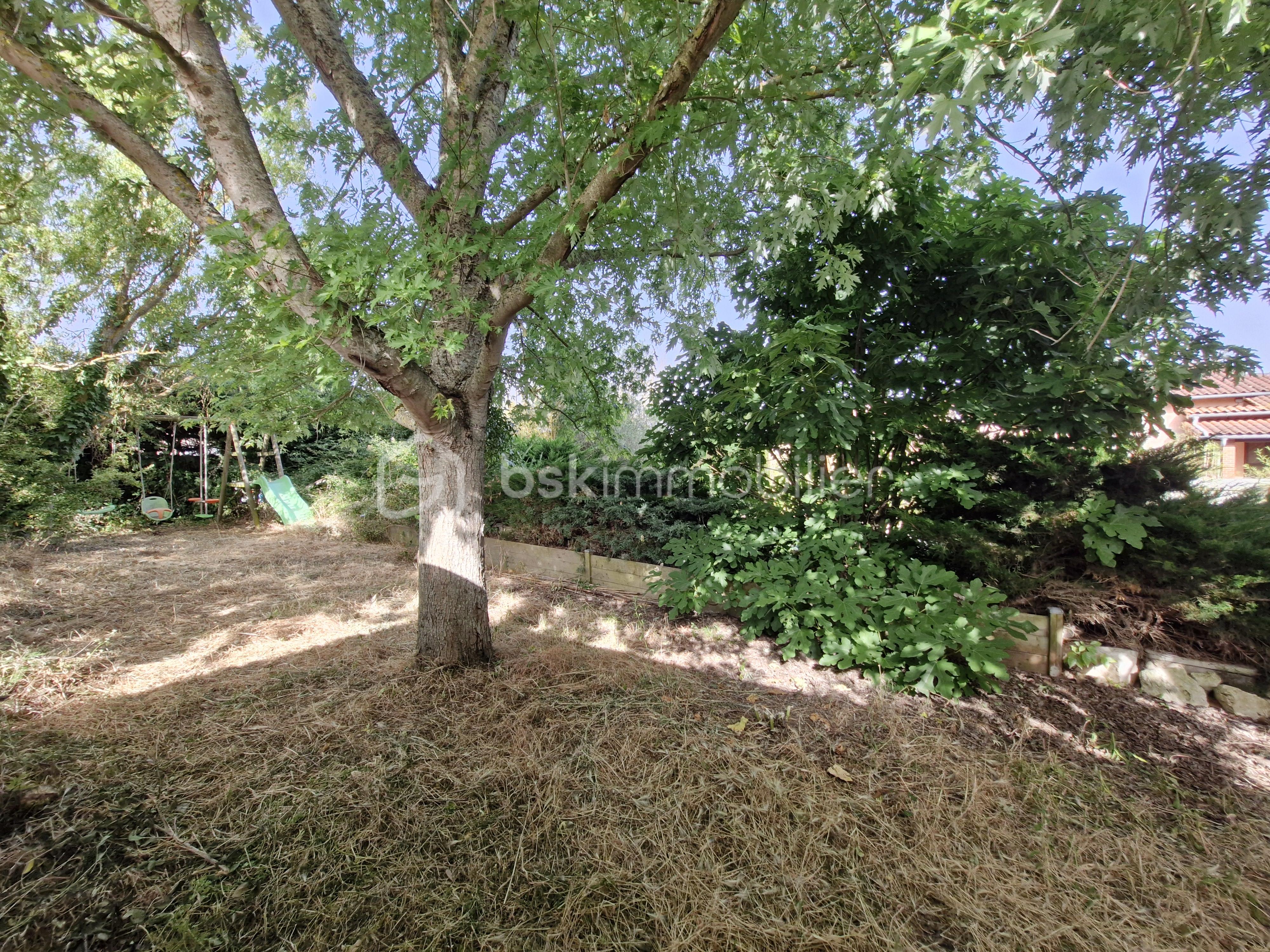 jardin.jpg