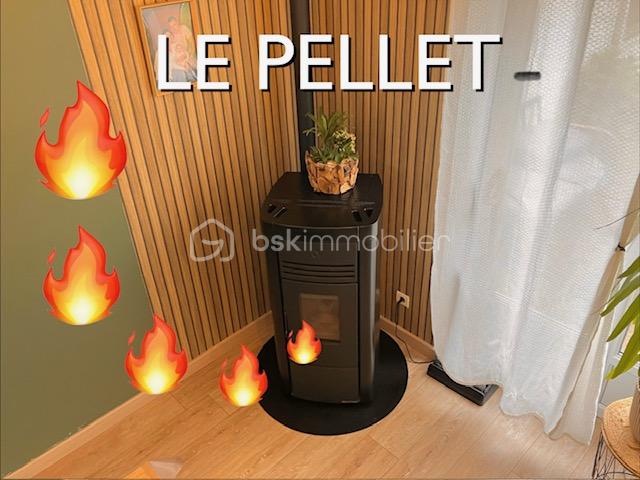 duchemin pellet.jpeg