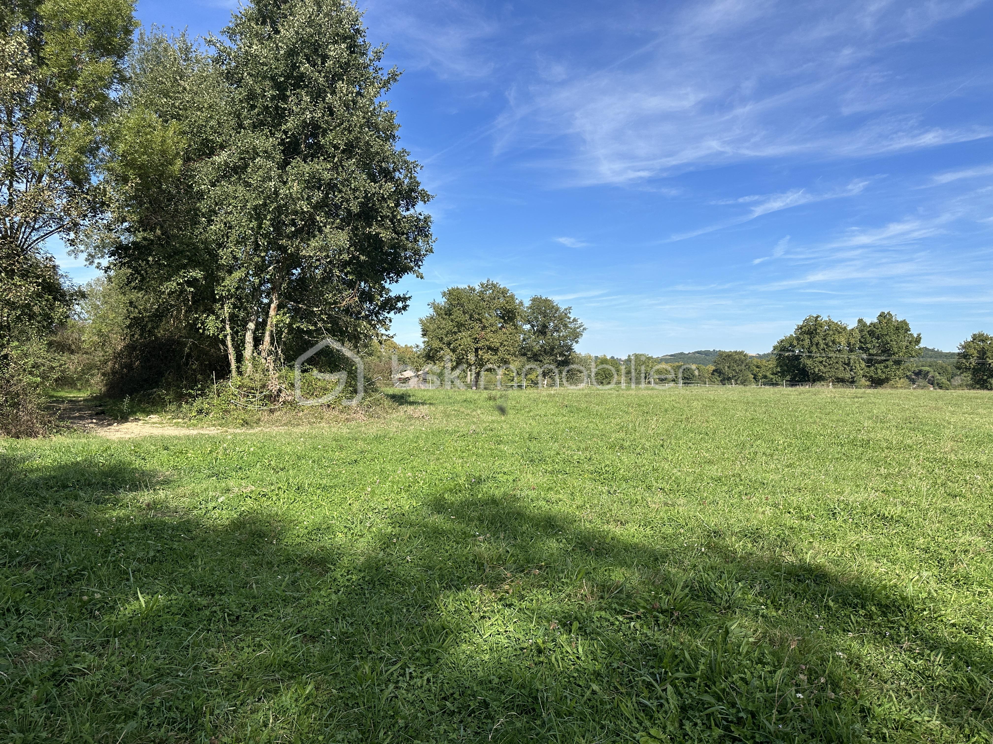 IMG_9053.jpeg
