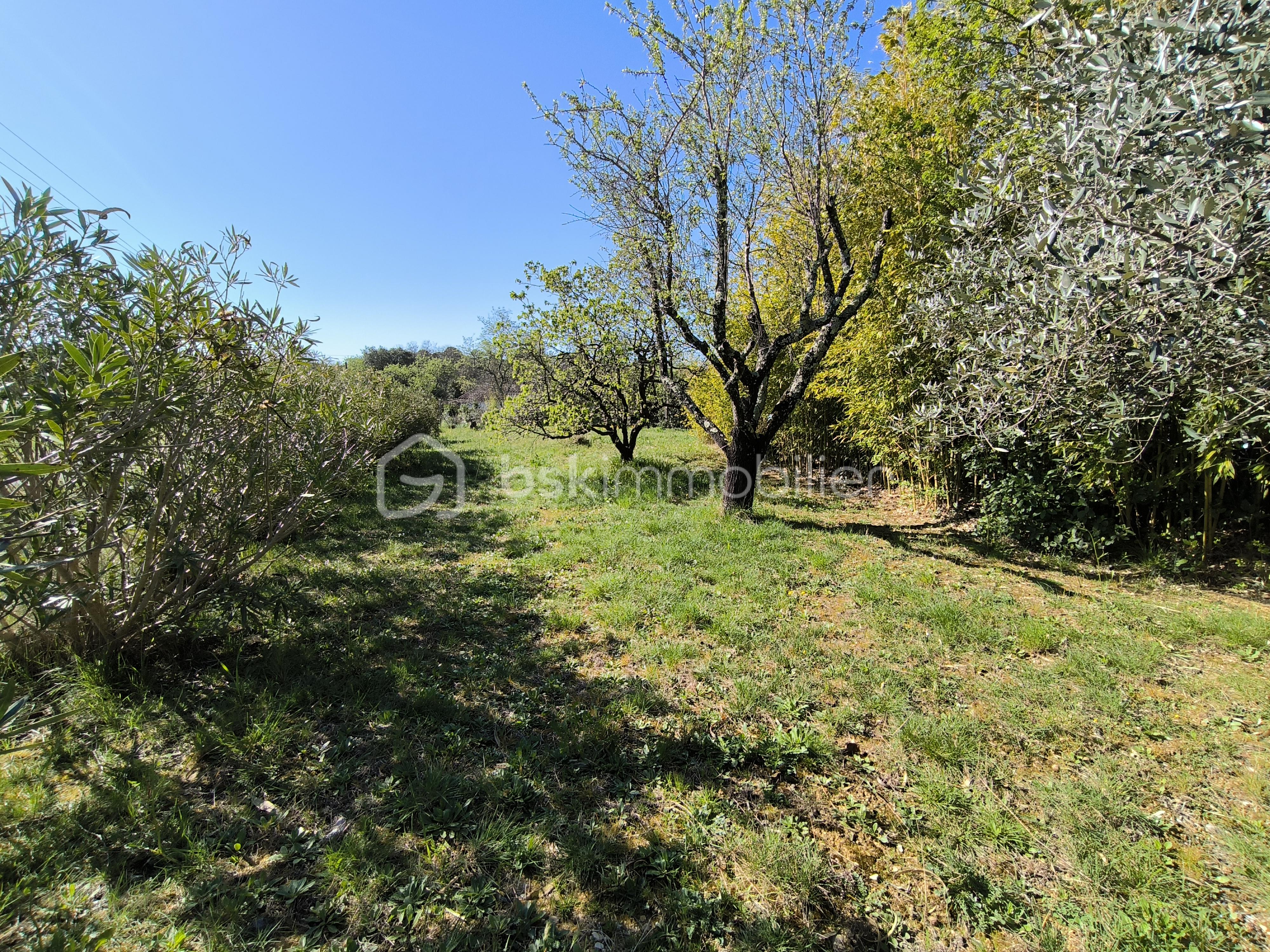 Maison de 203 m² - IMG_20250401_104813.jpg