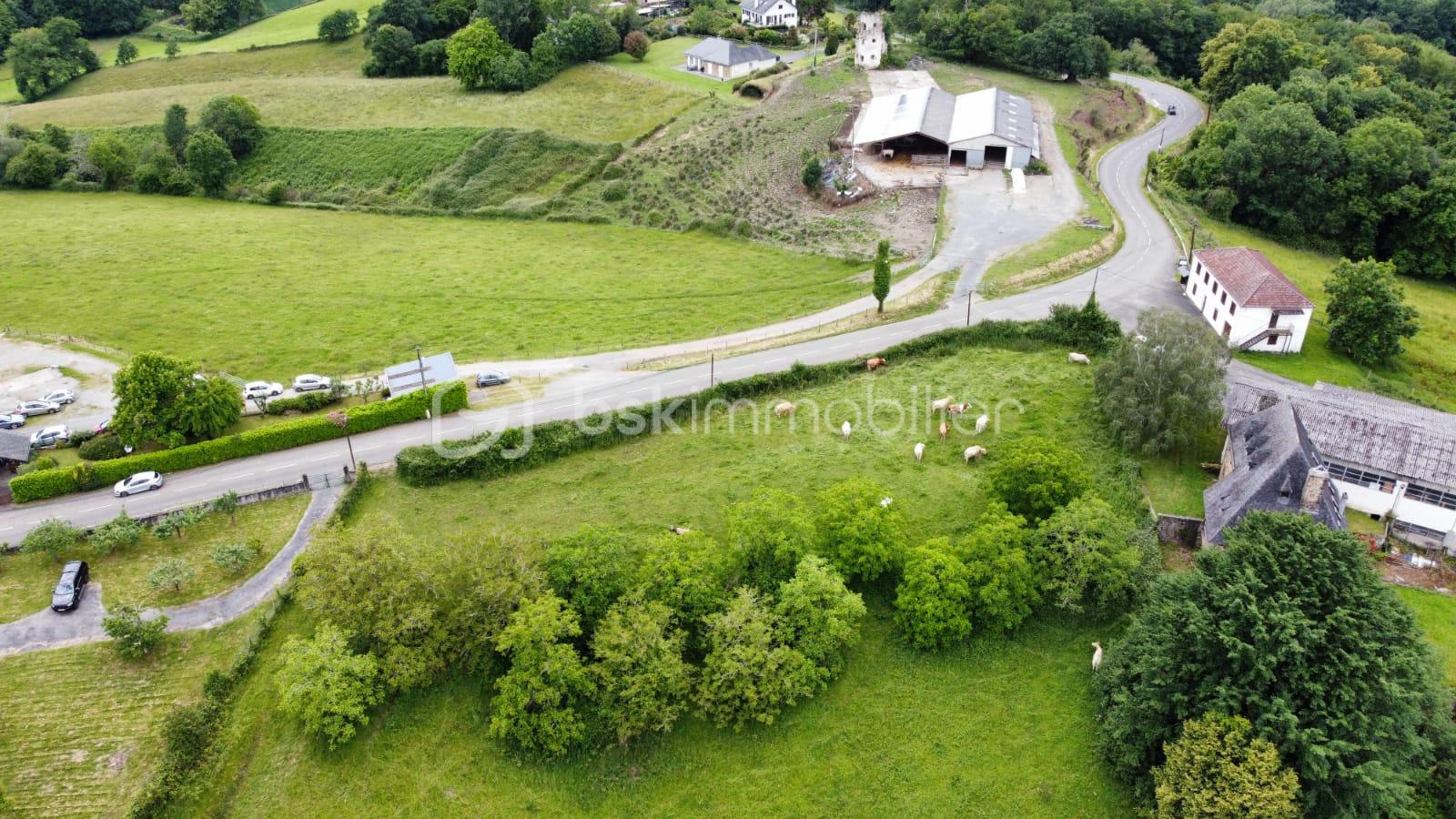 Terrain de 13 255 m² - 1717252703733.jpg