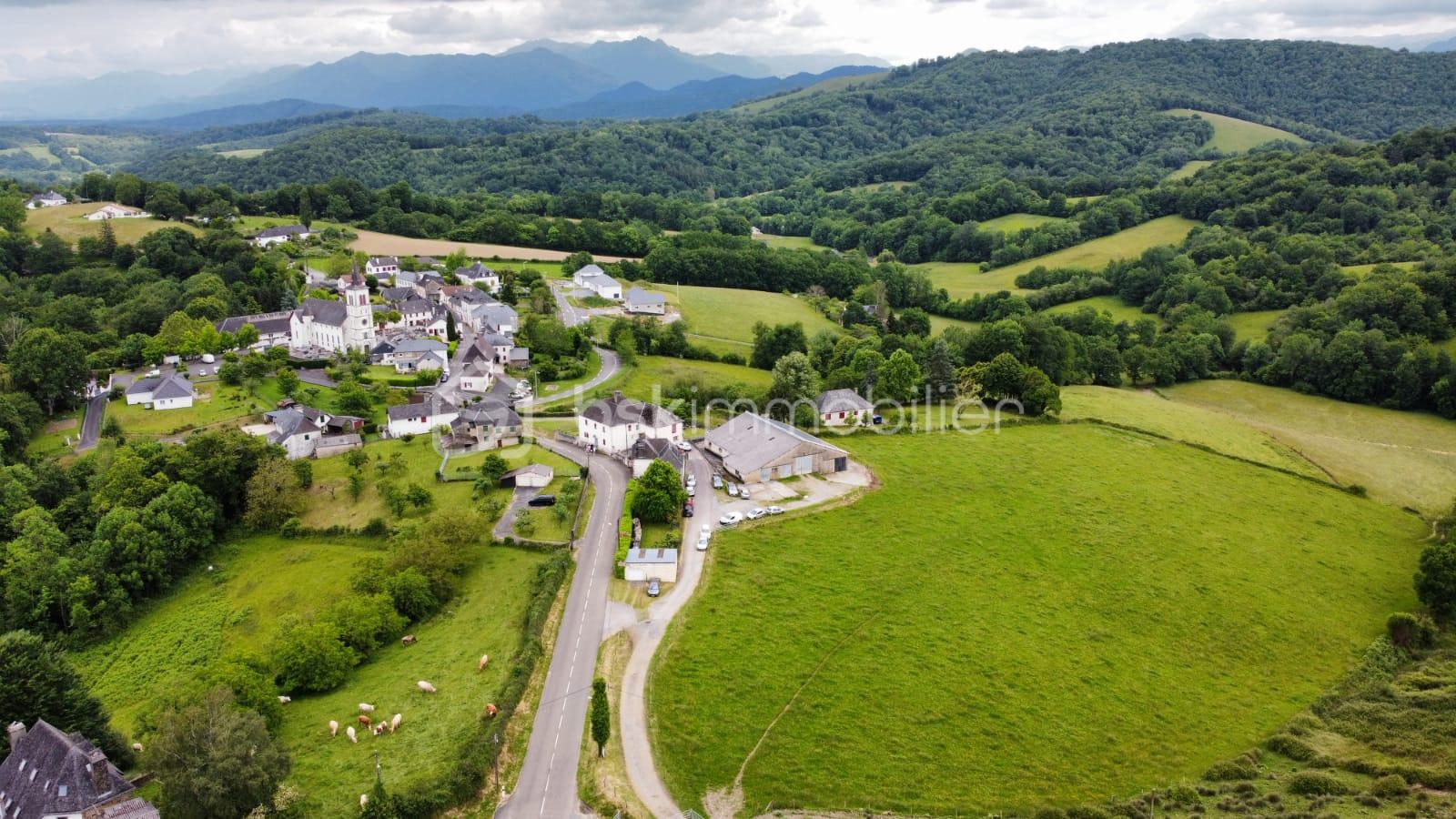 Terrain de 13 255 m² - 1717252703549.jpg