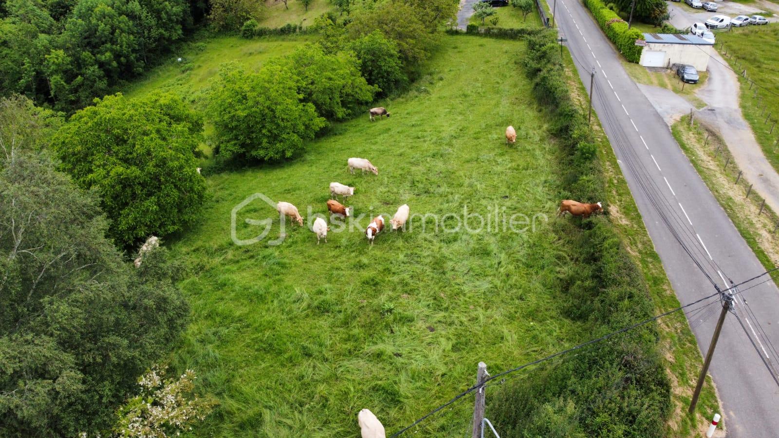 Terrain de 13 255 m² - 1717252703689.jpg