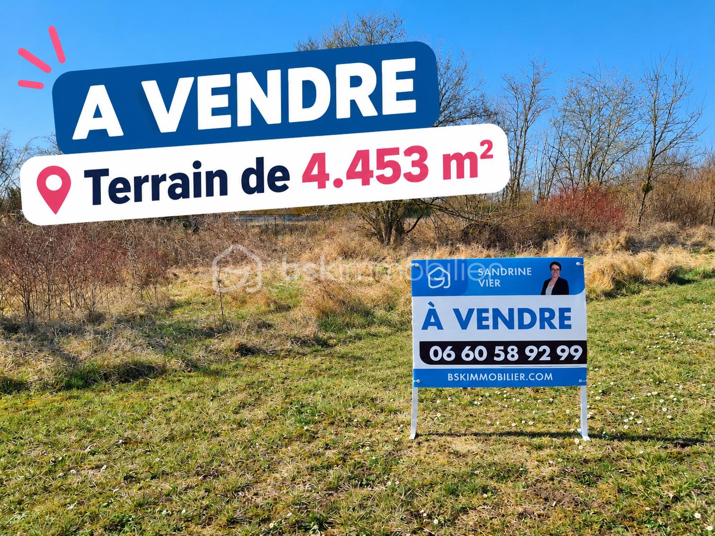 Terrain à vendre de 4 453 m².png