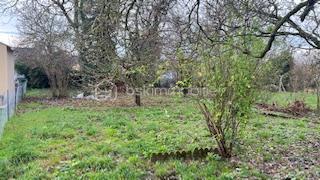 jardin 1.jpeg