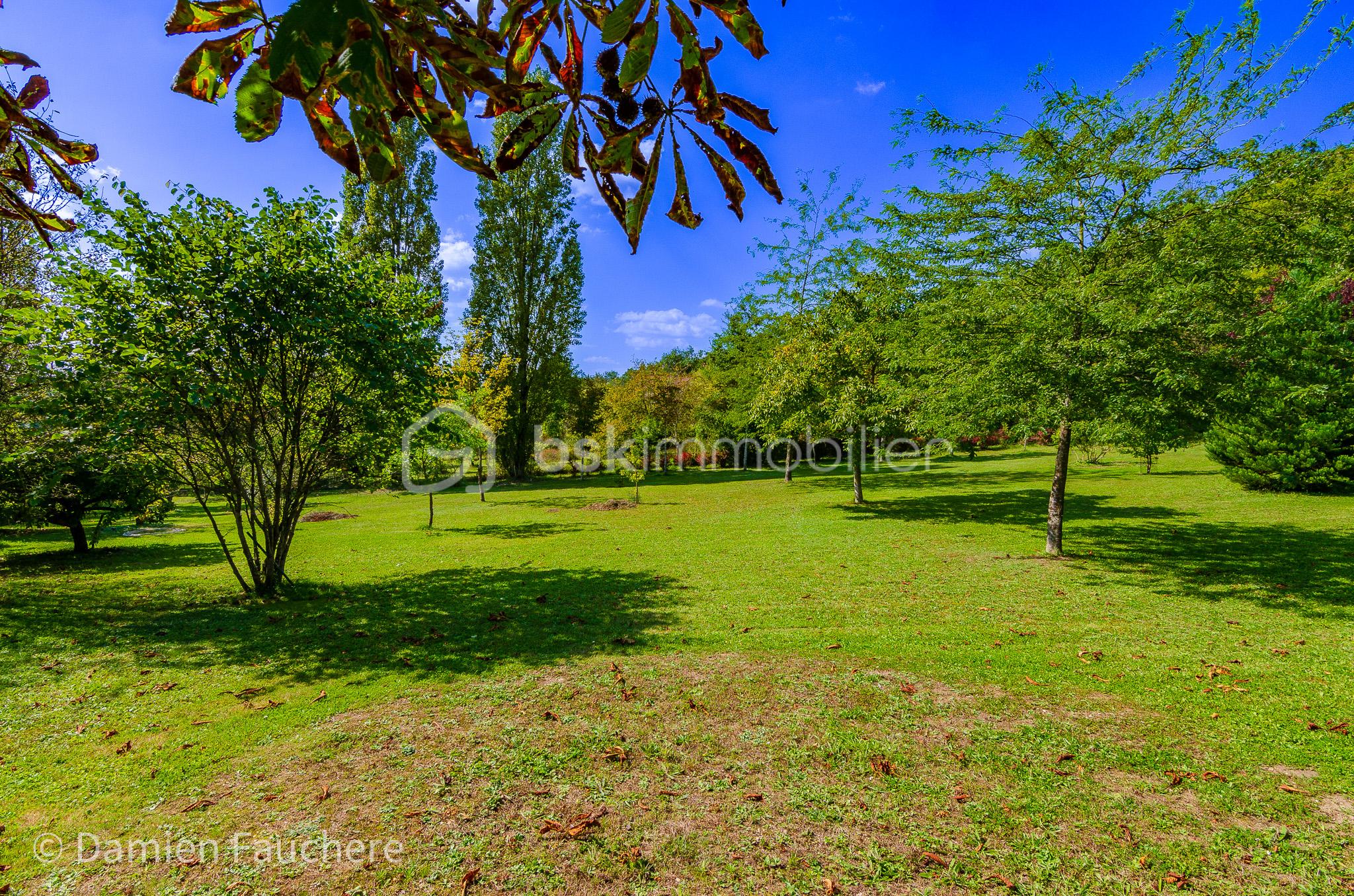 Domaine de 320 m² - DSC_0183.jpg