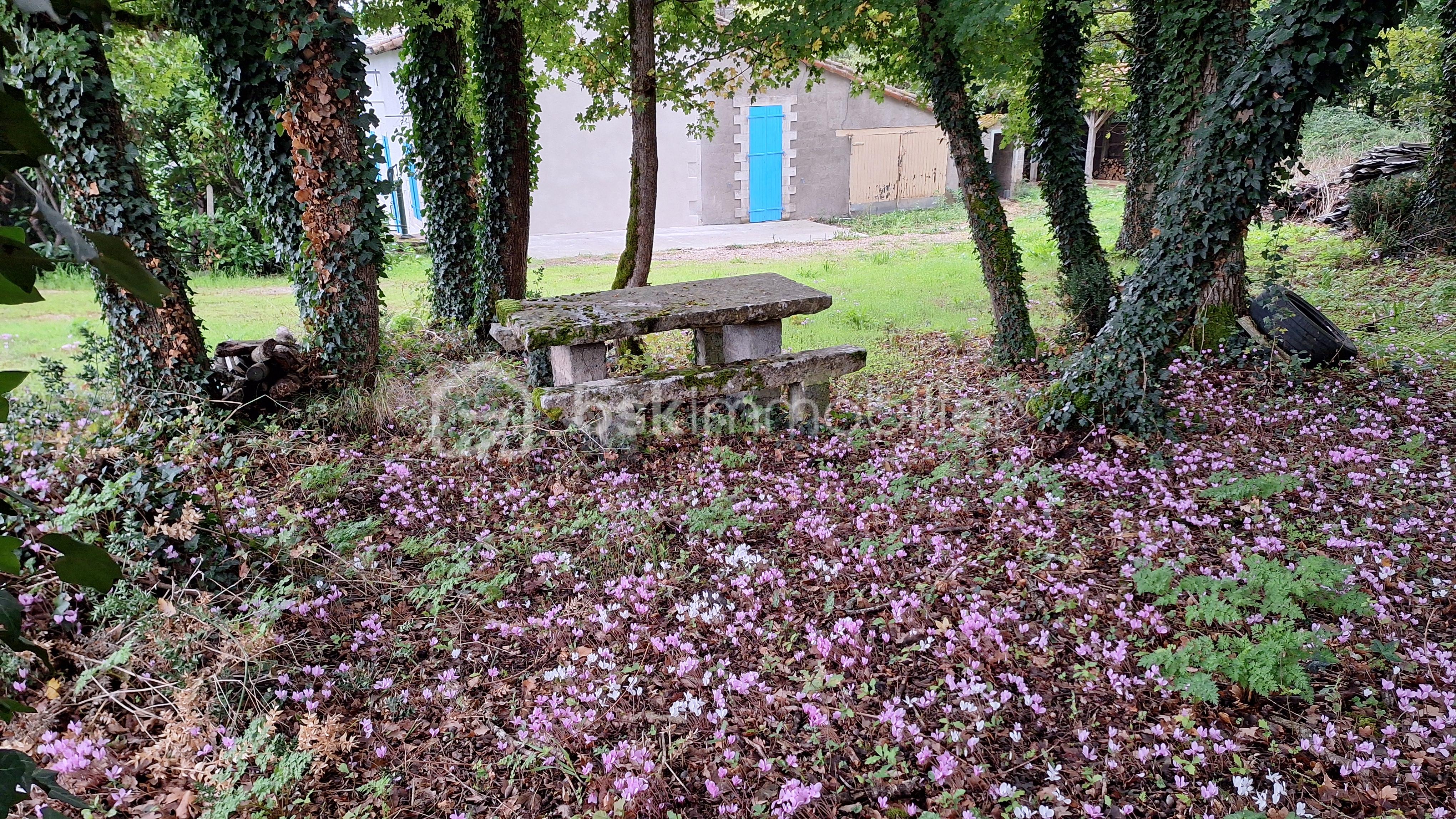 Zone boisée-Table.jpg