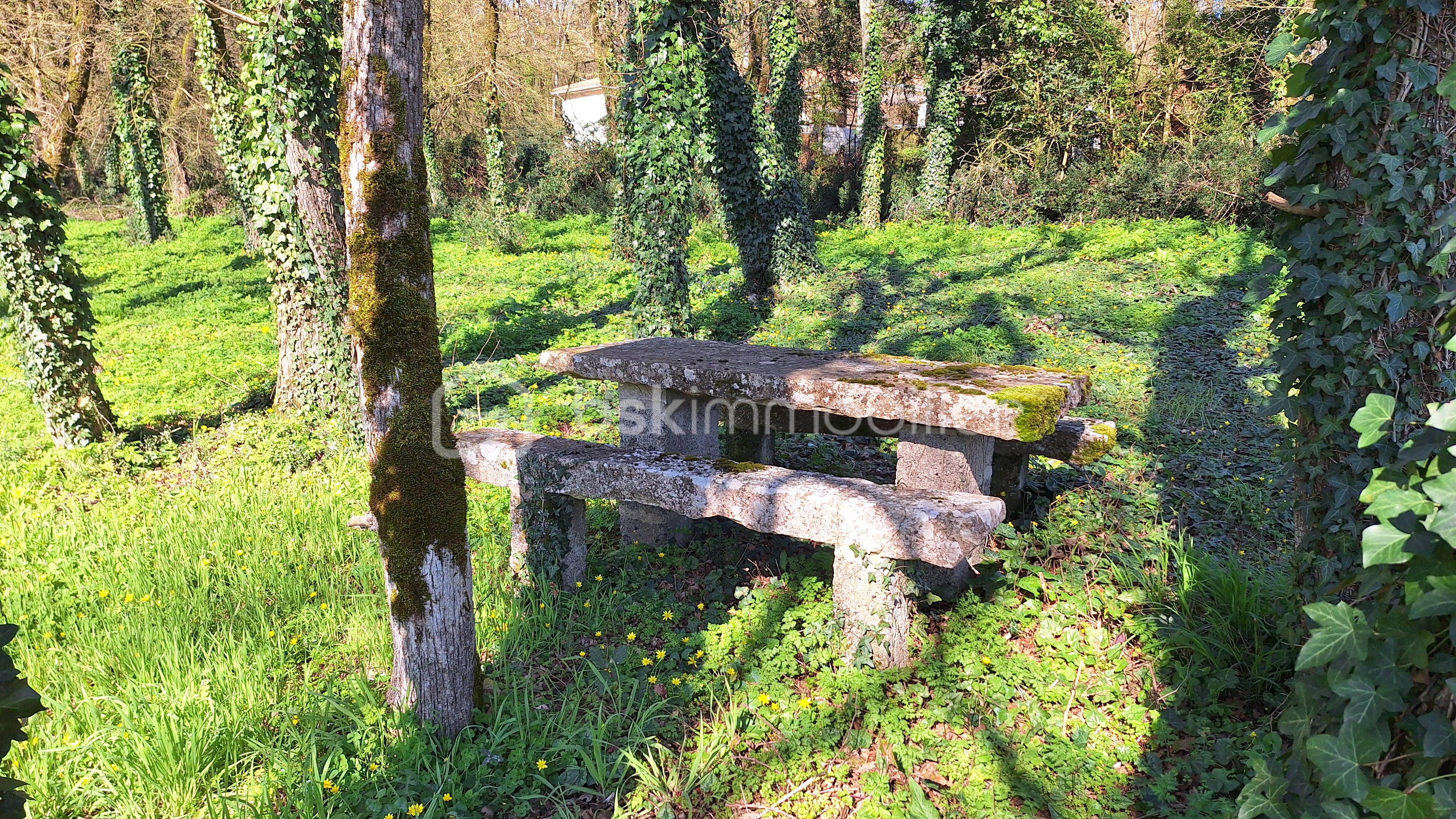 Table-Bancs pierre.jpg