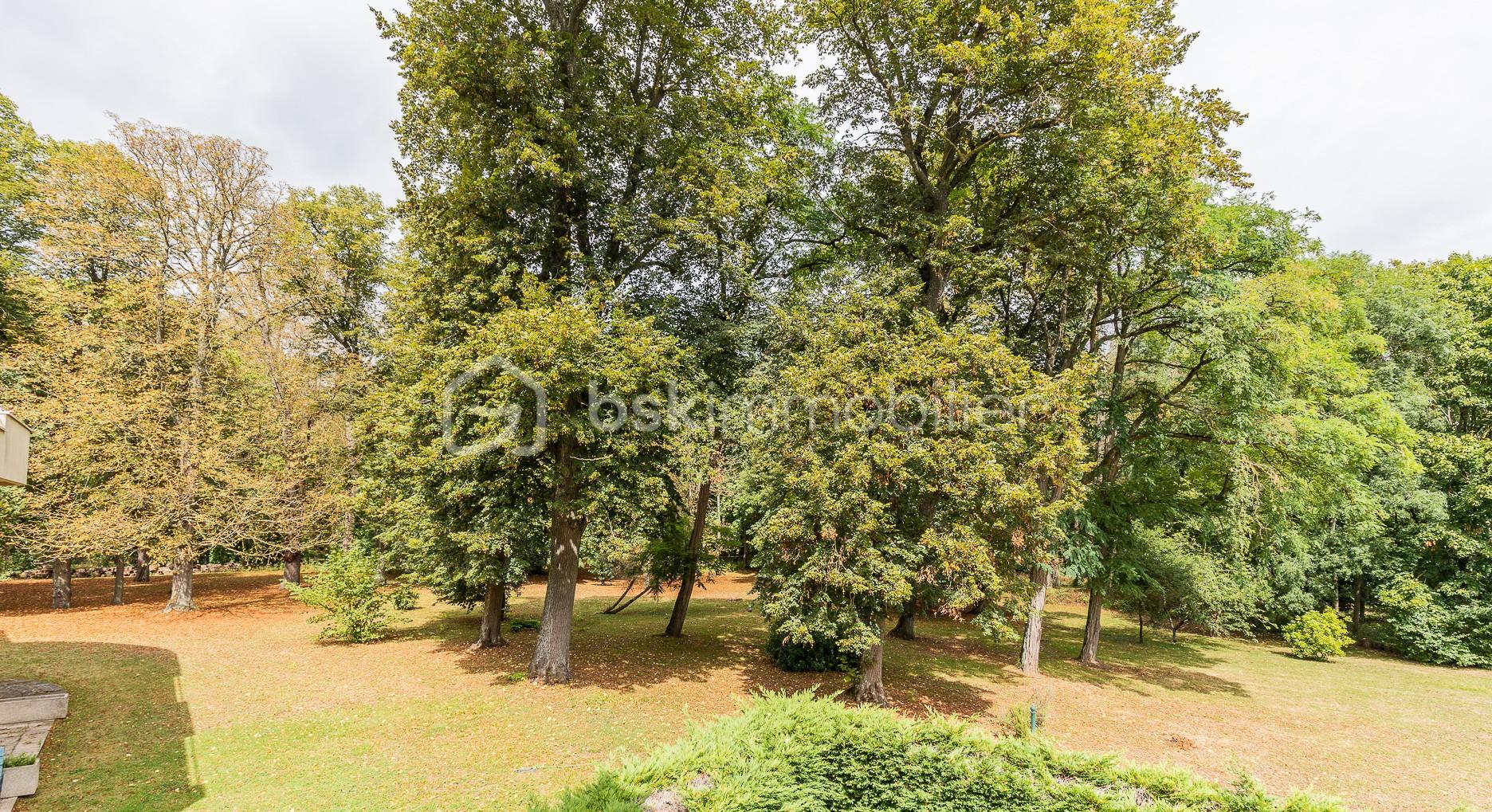 Appartement de 48 m² - IMG_7207.jpg