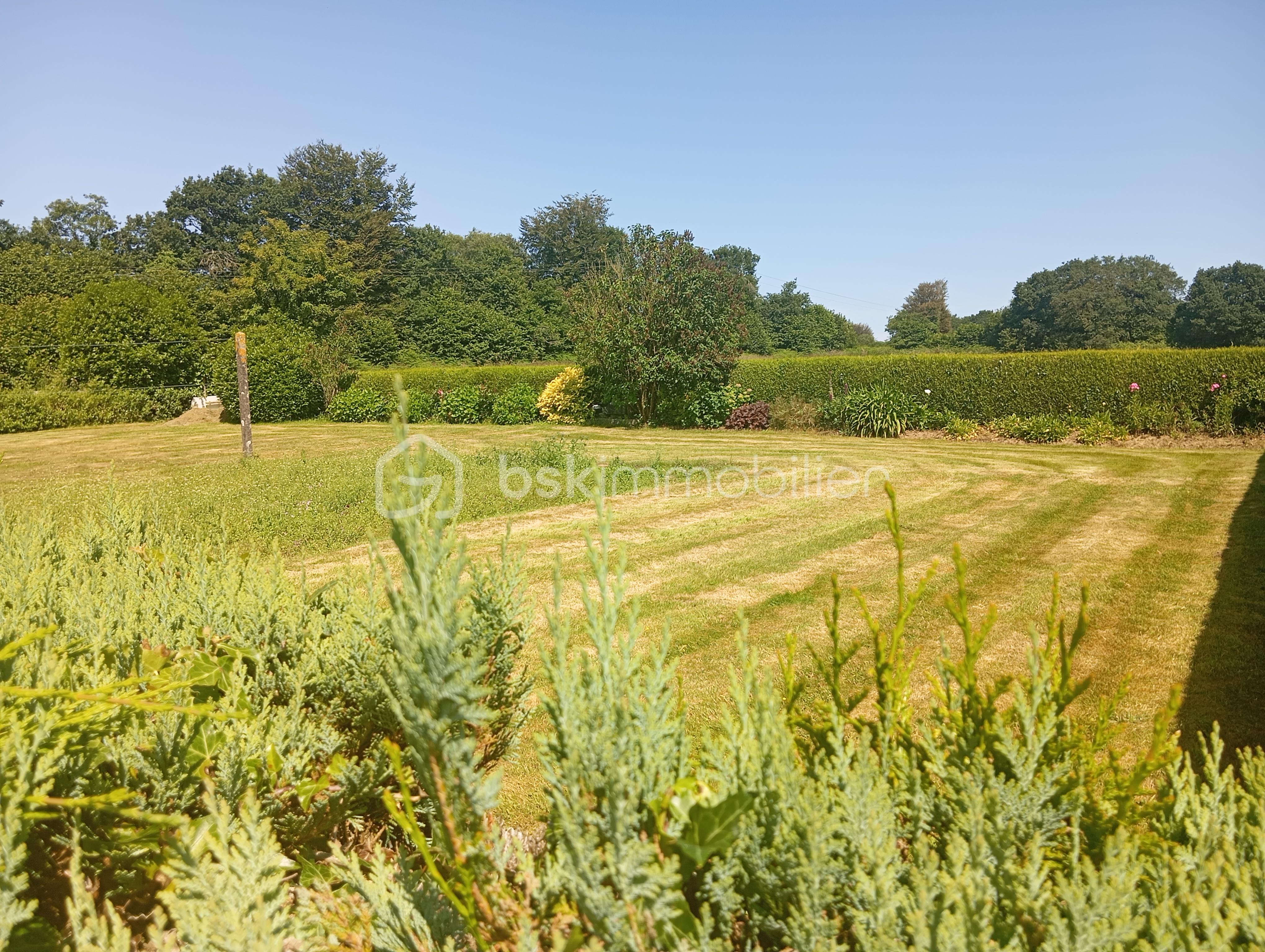 Maison ancienne de 115 m² - IMG_20250617_114317.jpg