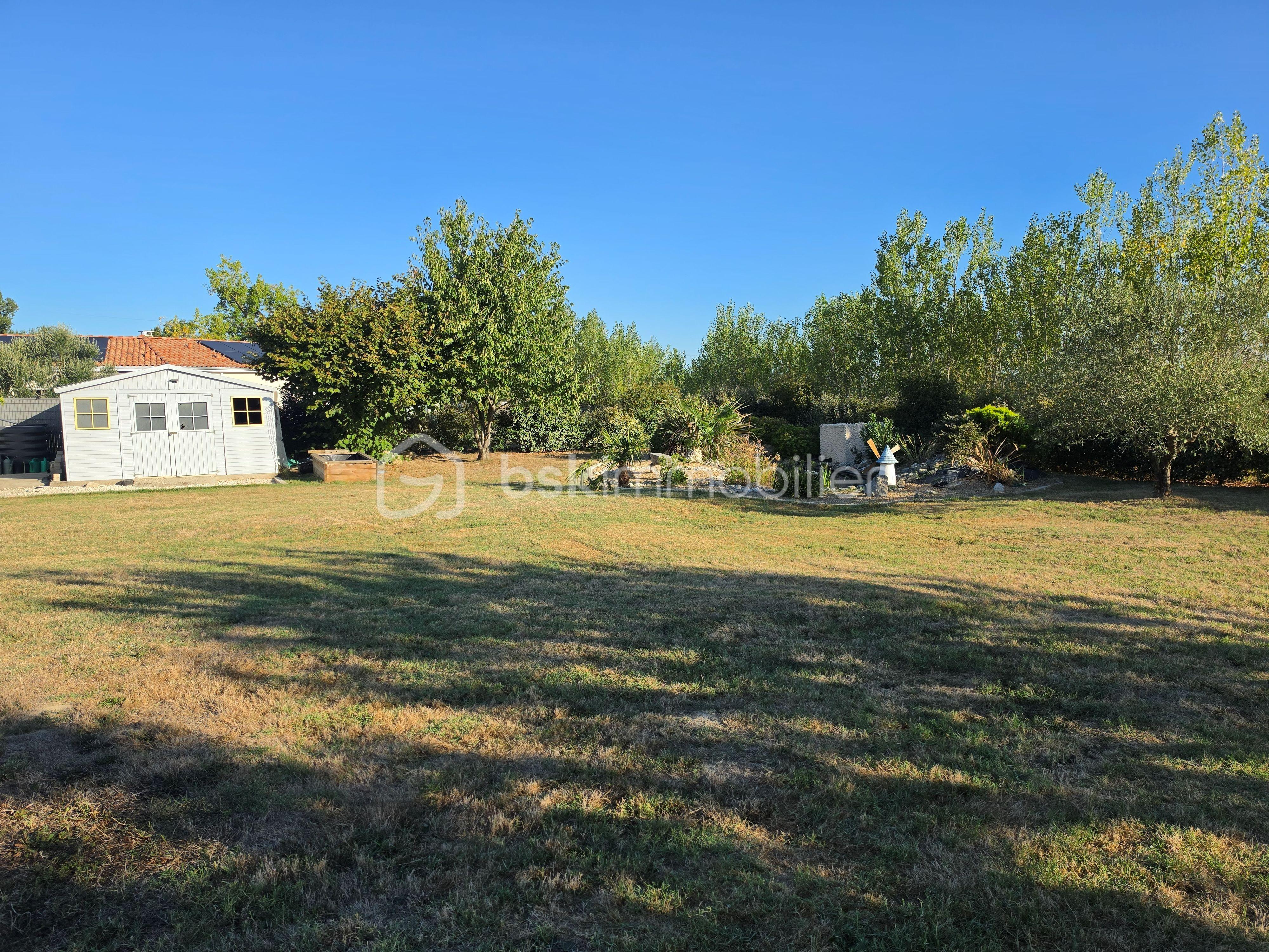 vue cabanon et jardin.jpg