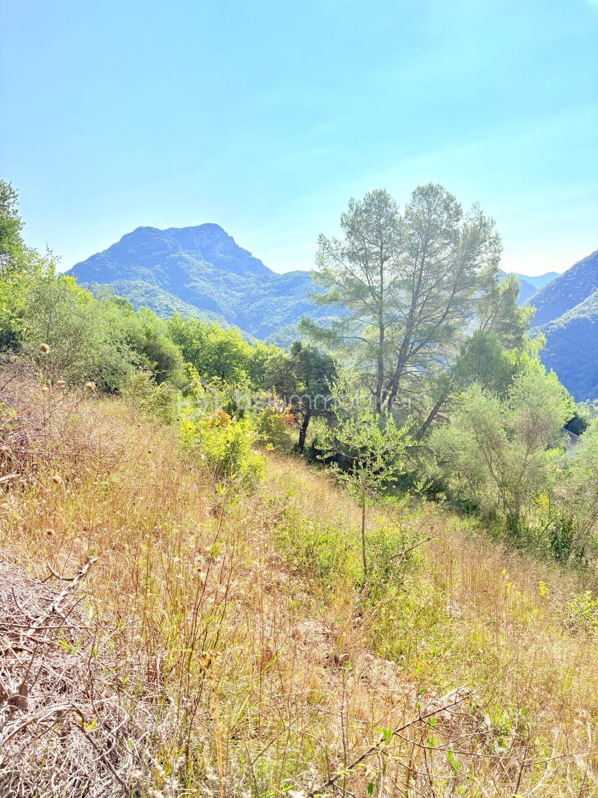 Terrain de 2 126 m² - WhatsApp Image 2025-09-26 at 23.47.20.jpeg