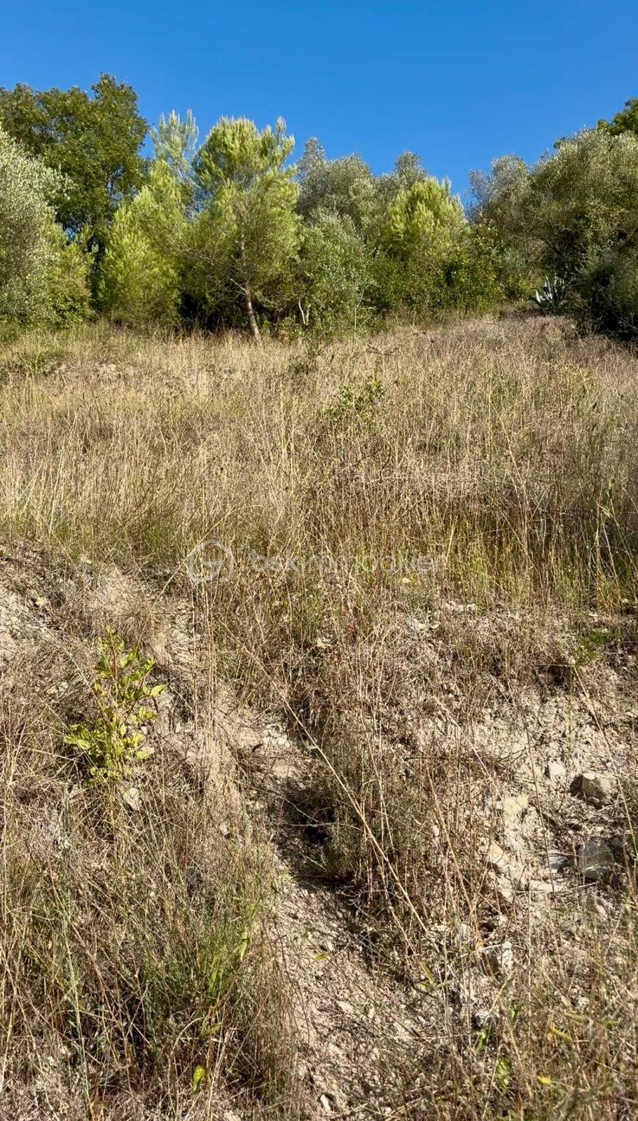 Terrain de 2 126 m² - WhatsApp Image 2025-09-26 at 23.51.47.jpeg