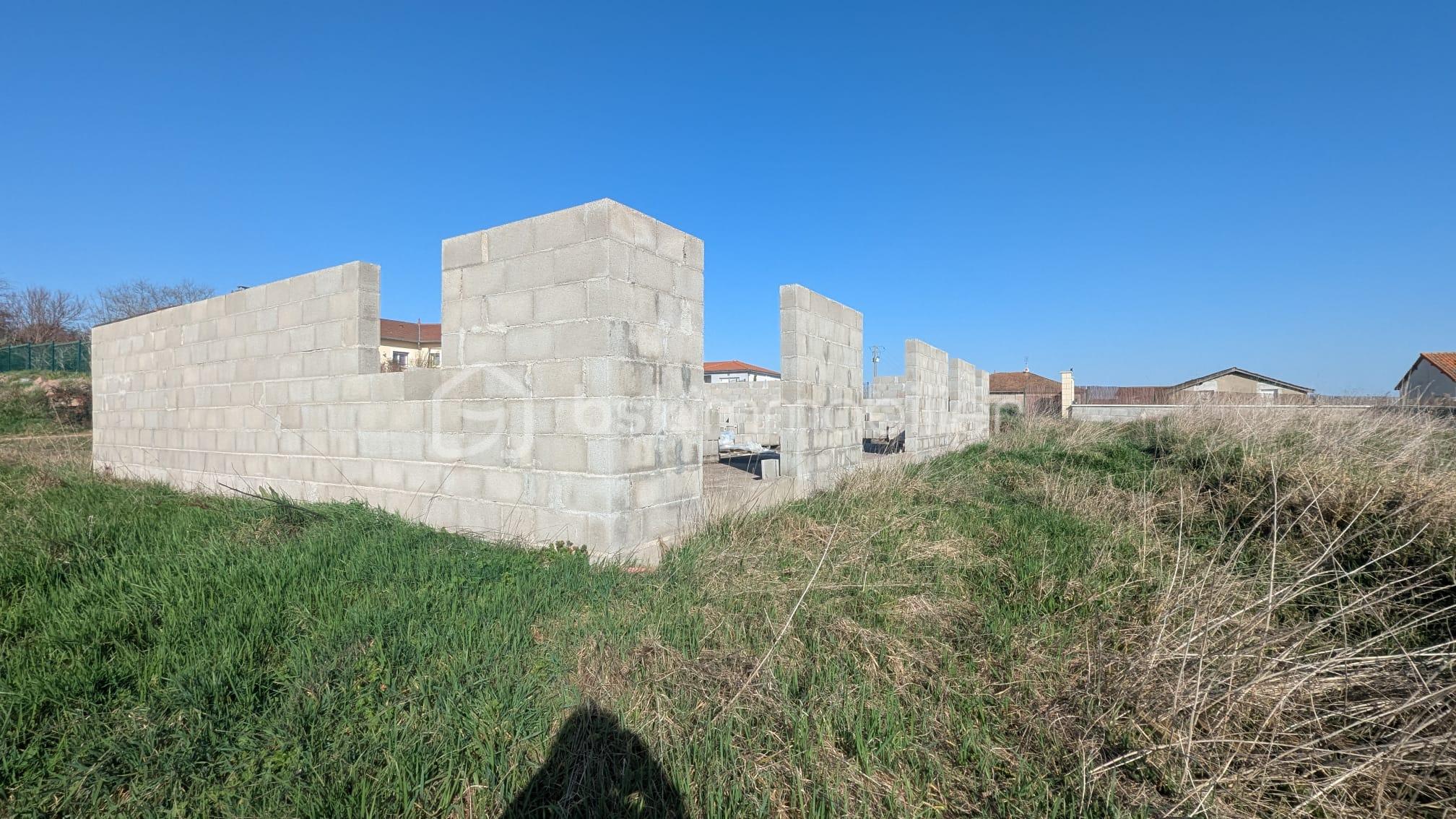 WhatsApp Image 2026-02-27 at 22.41.12(1).jpeg