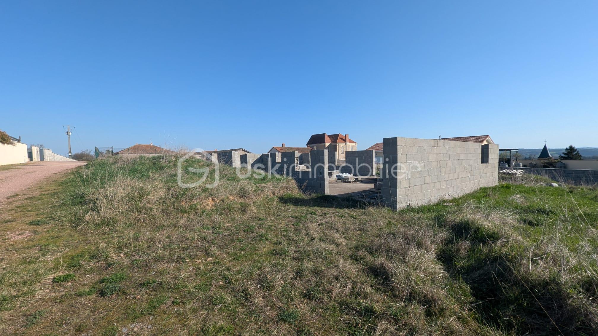 WhatsApp Image 2026-02-27 at 22.41.12.jpeg