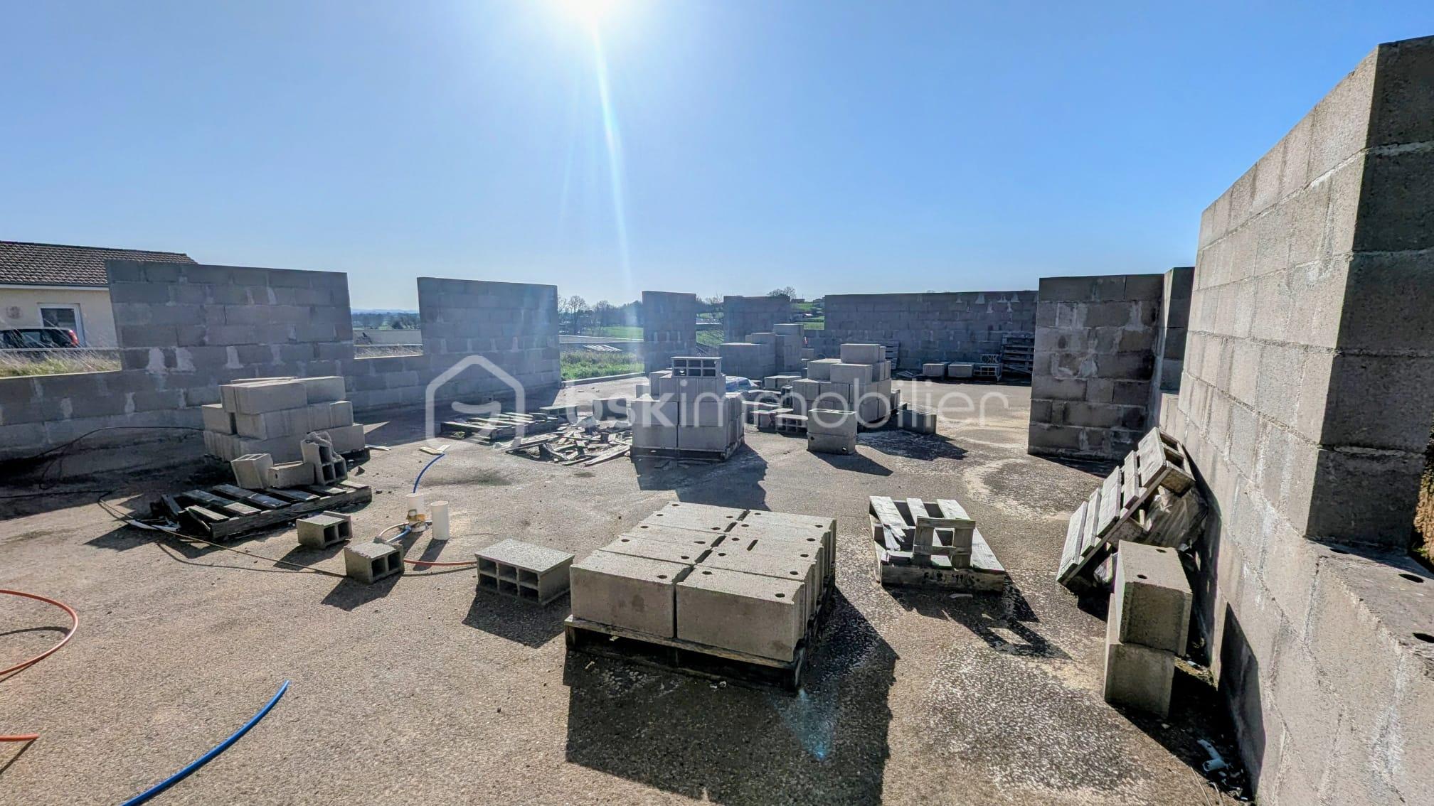 WhatsApp Image 2026-02-27 at 22.40.29.jpeg