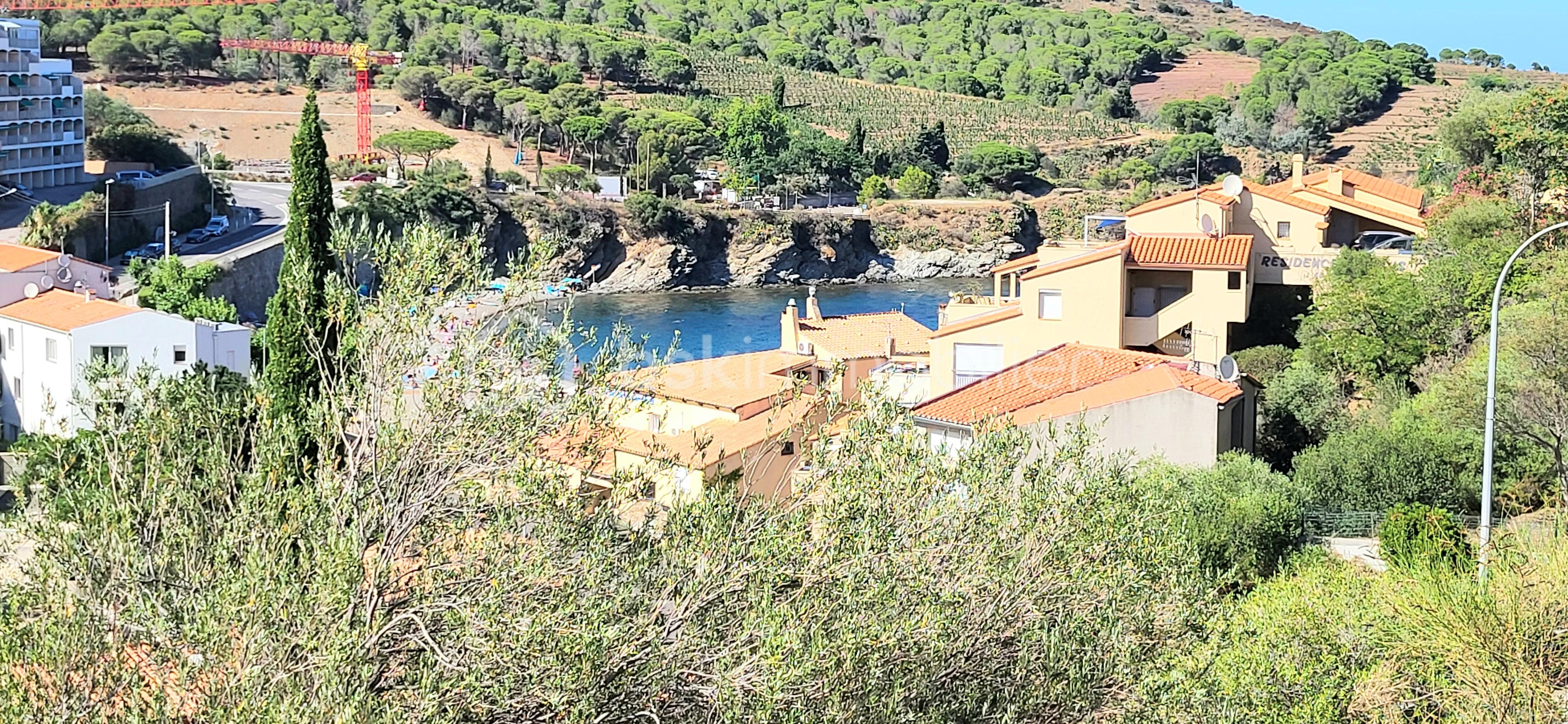 20250717_173058.jpg