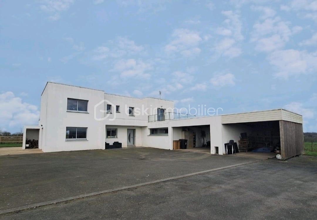 c77b3dd5-fb03-4e9e-b451-cec2f890e45d.jfif