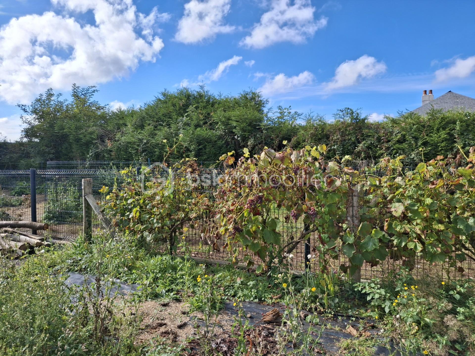 Maison de 100 m² - Vue côté bande.jpg