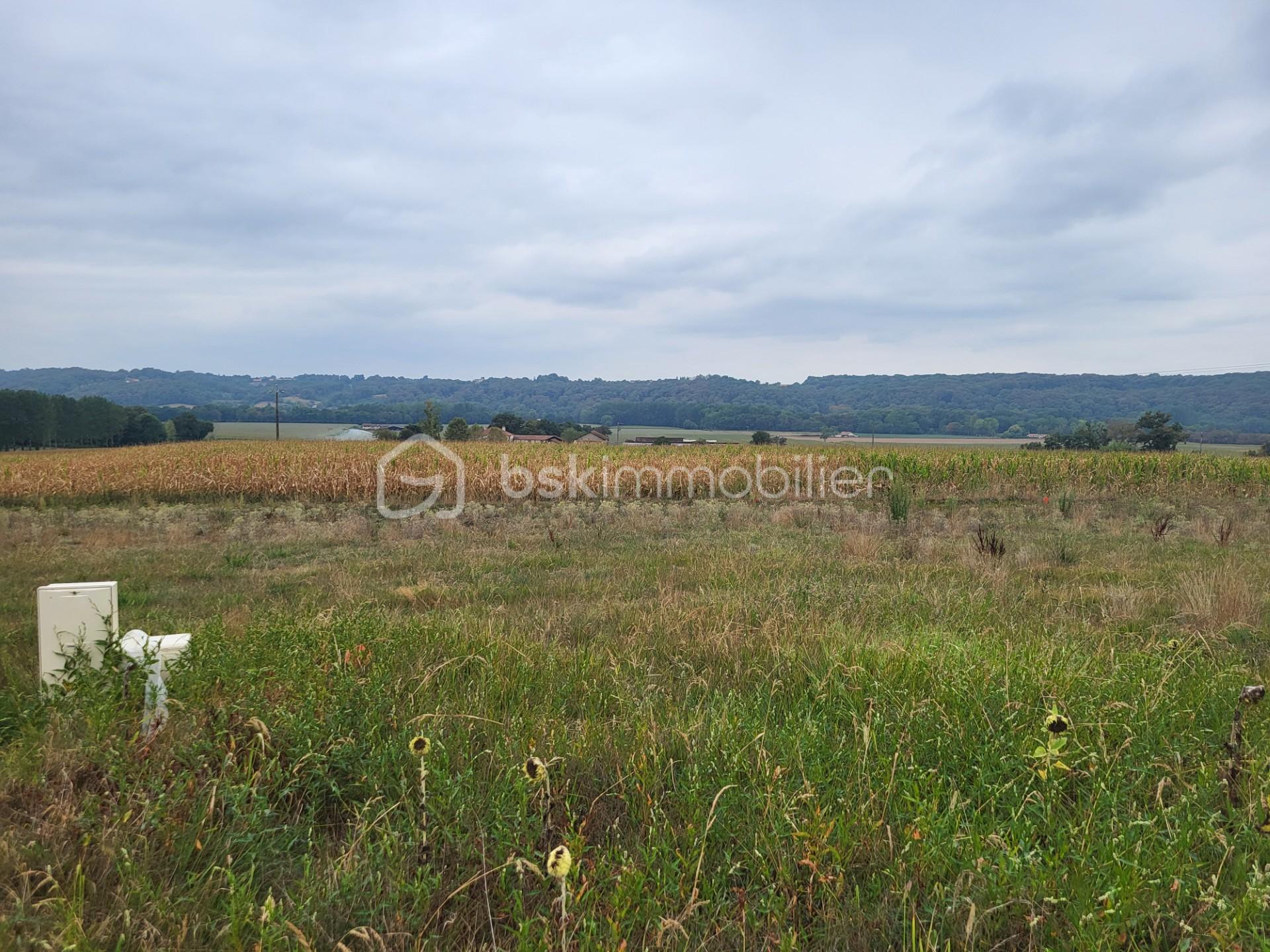 Terrain de 991 m² - thumbnail_20250818_150059.jpg