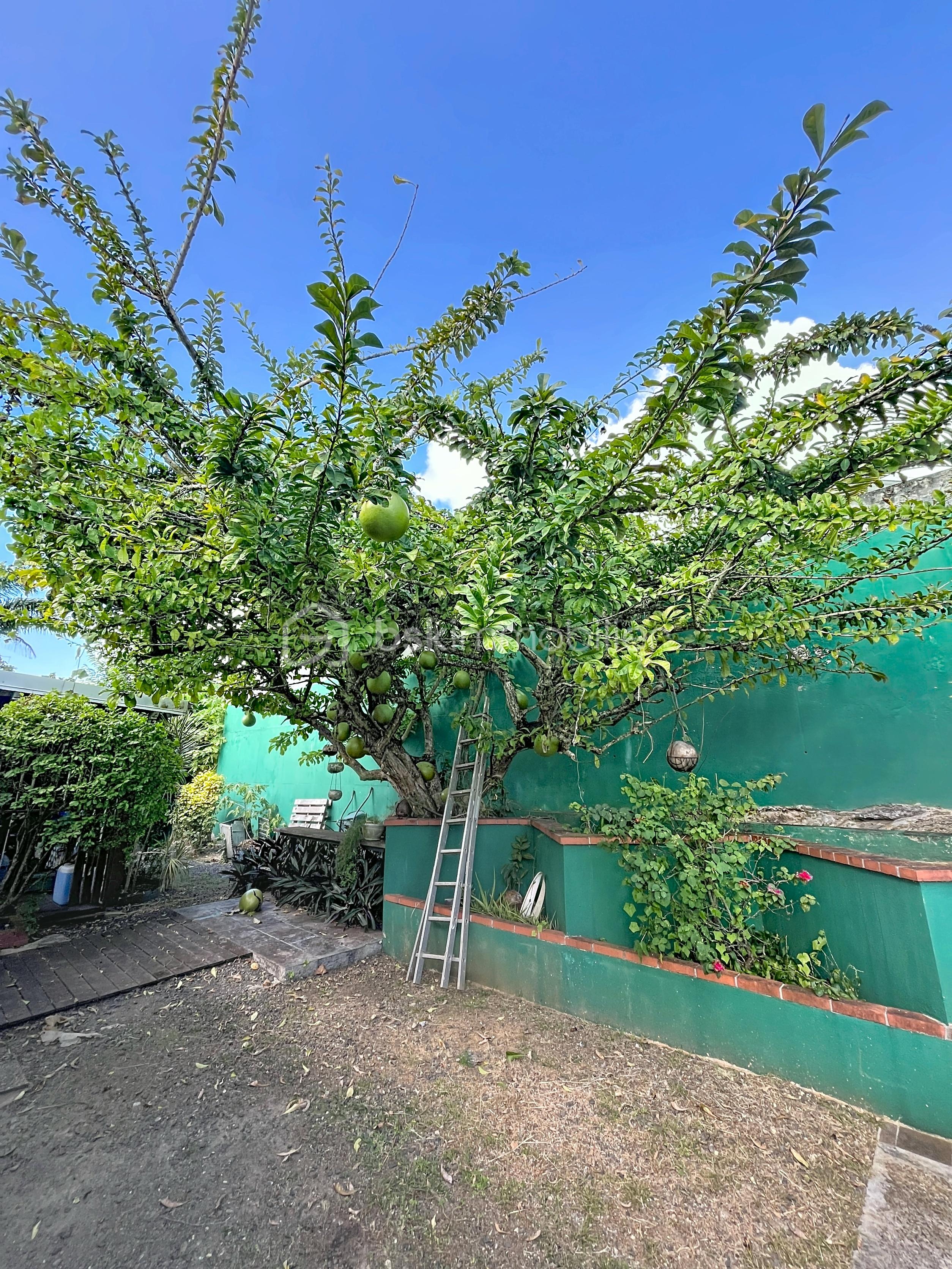 Maison de 163 m² - lunel_00007.jpg