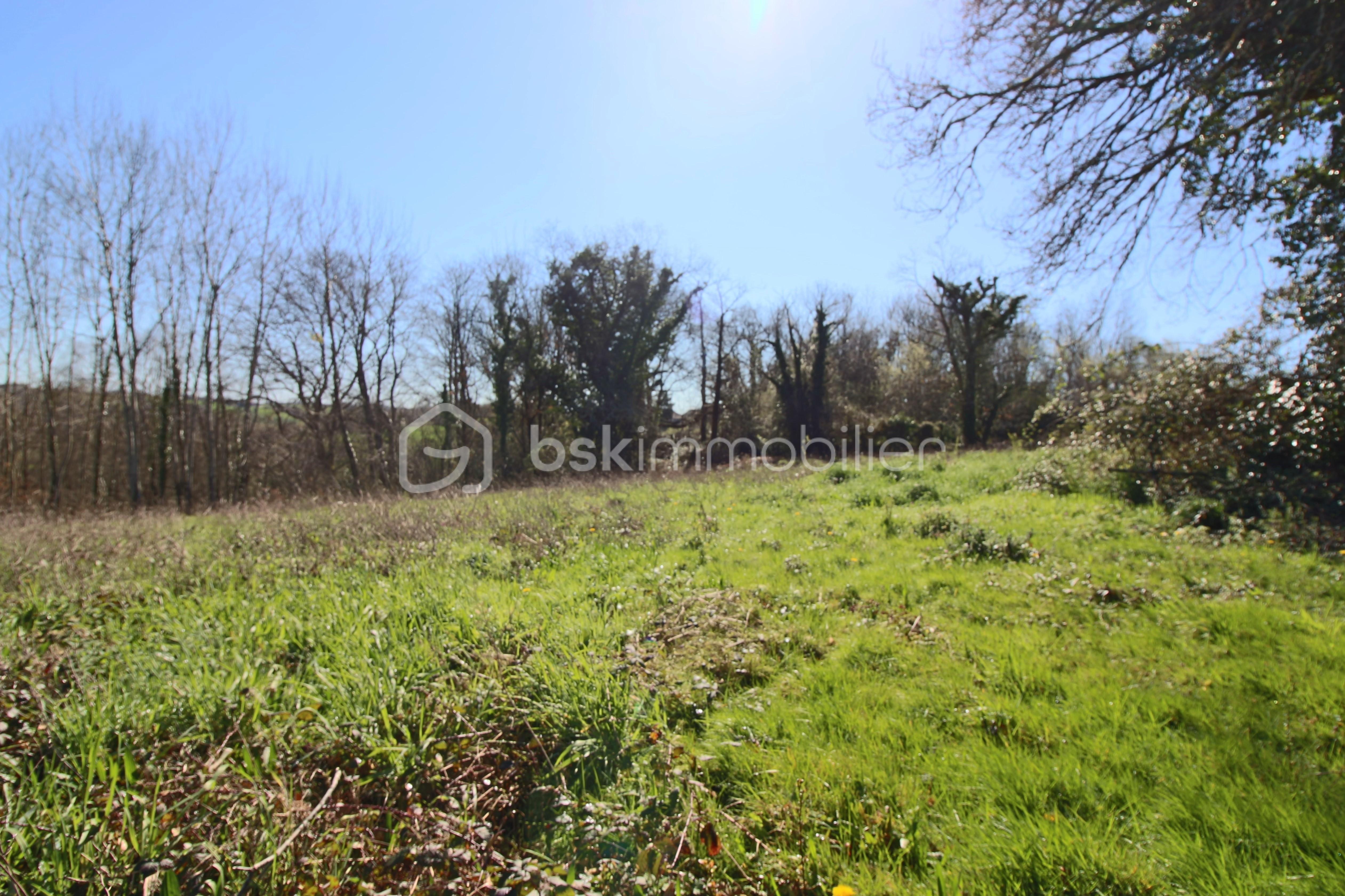 Terrain de 1 401 m² - IMG_2360.JPG