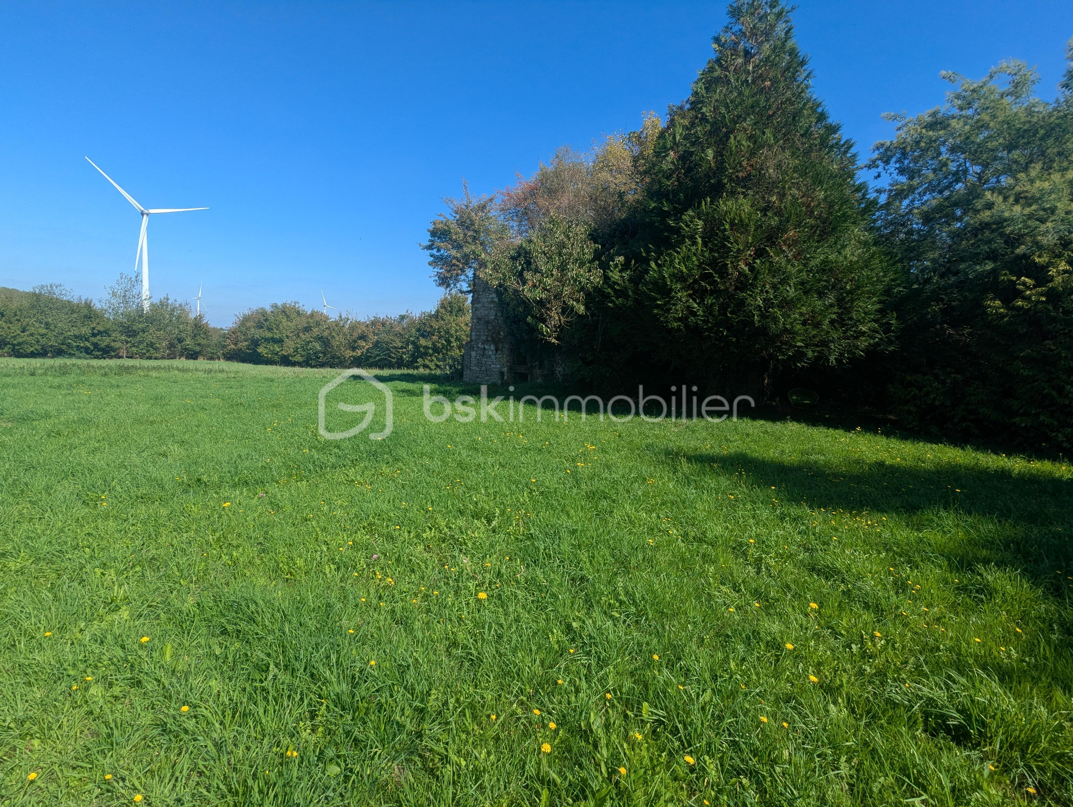 Maison de 202 m² - PXL_20250918_125124043.jpg