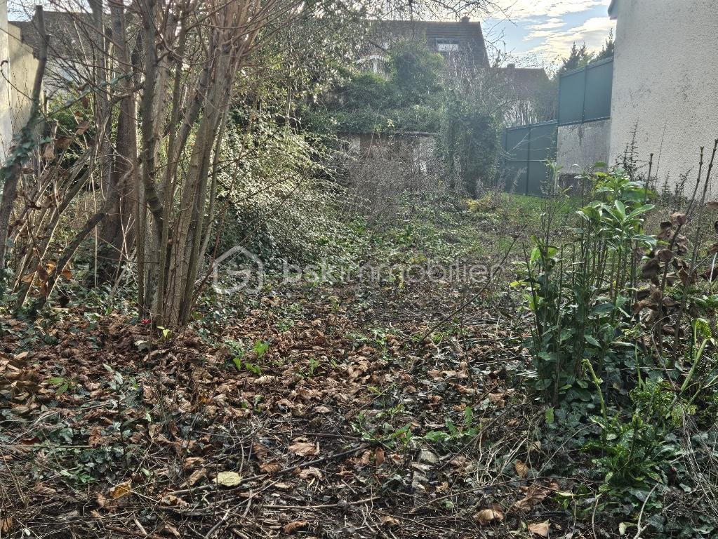 Terrain de 405 m² - 20251218_150654.jpg