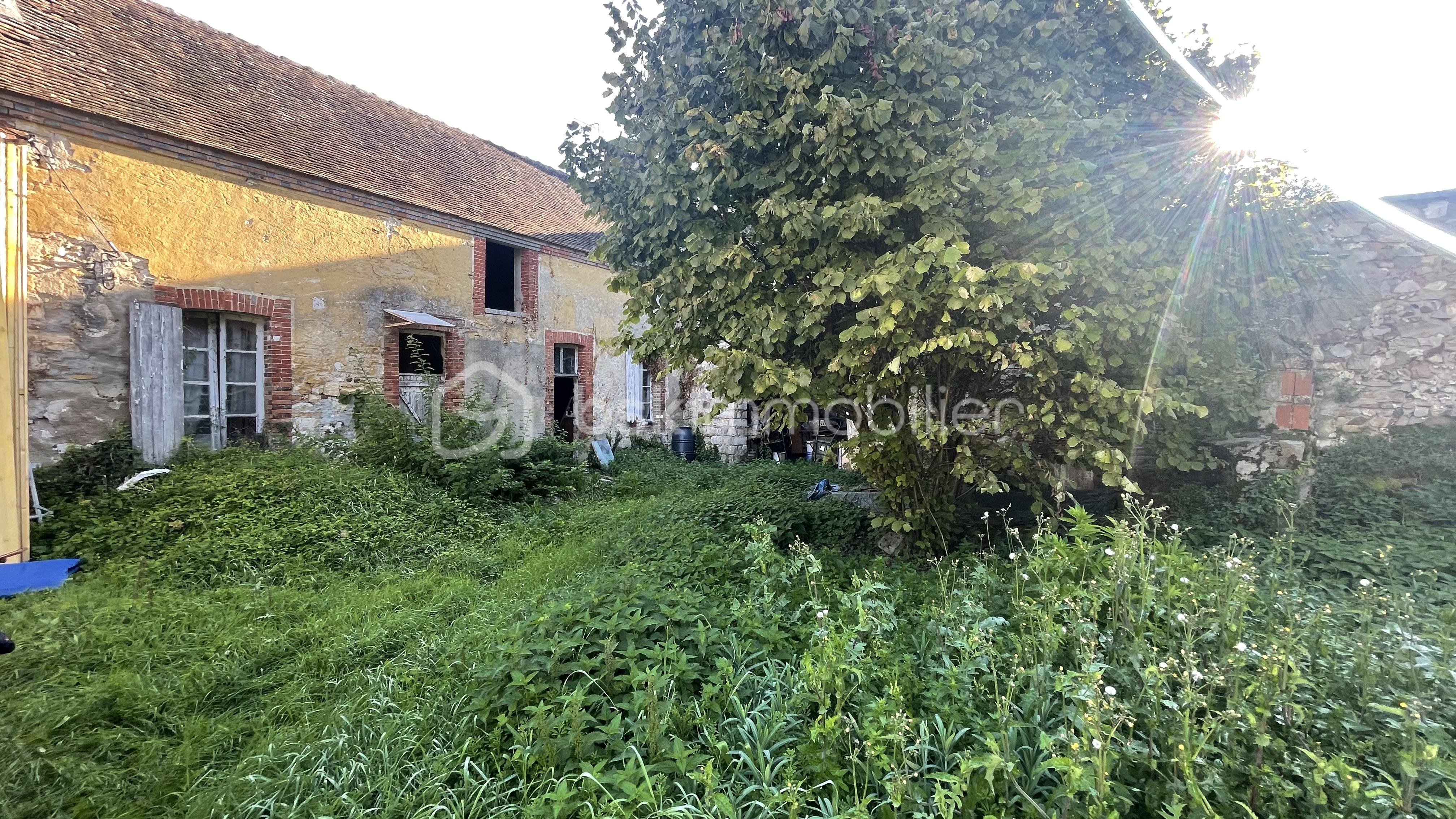 Fermette de 170 m² - IMG_4617.jpeg