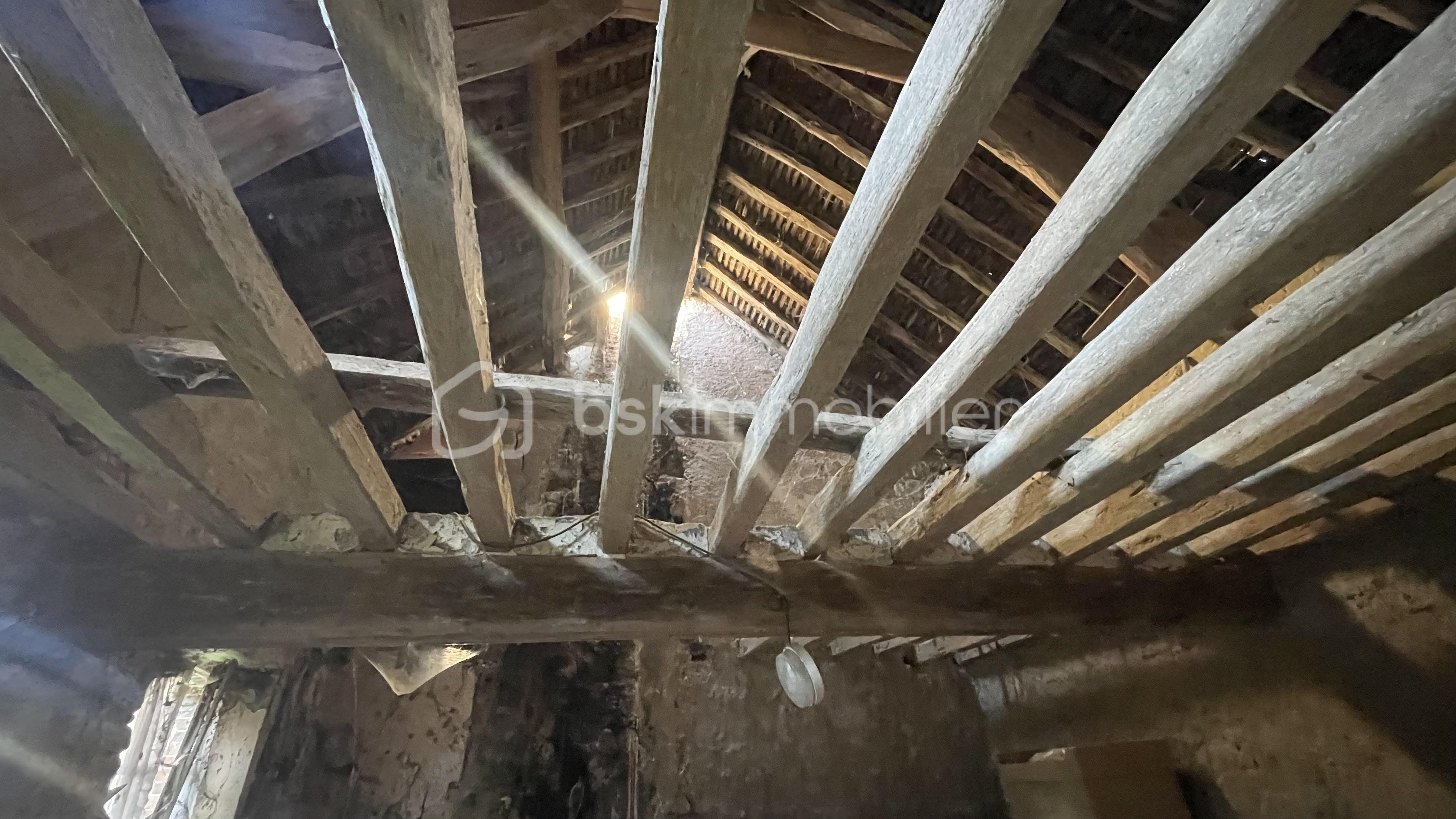 Fermette de 170 m² - IMG_4611.jpeg