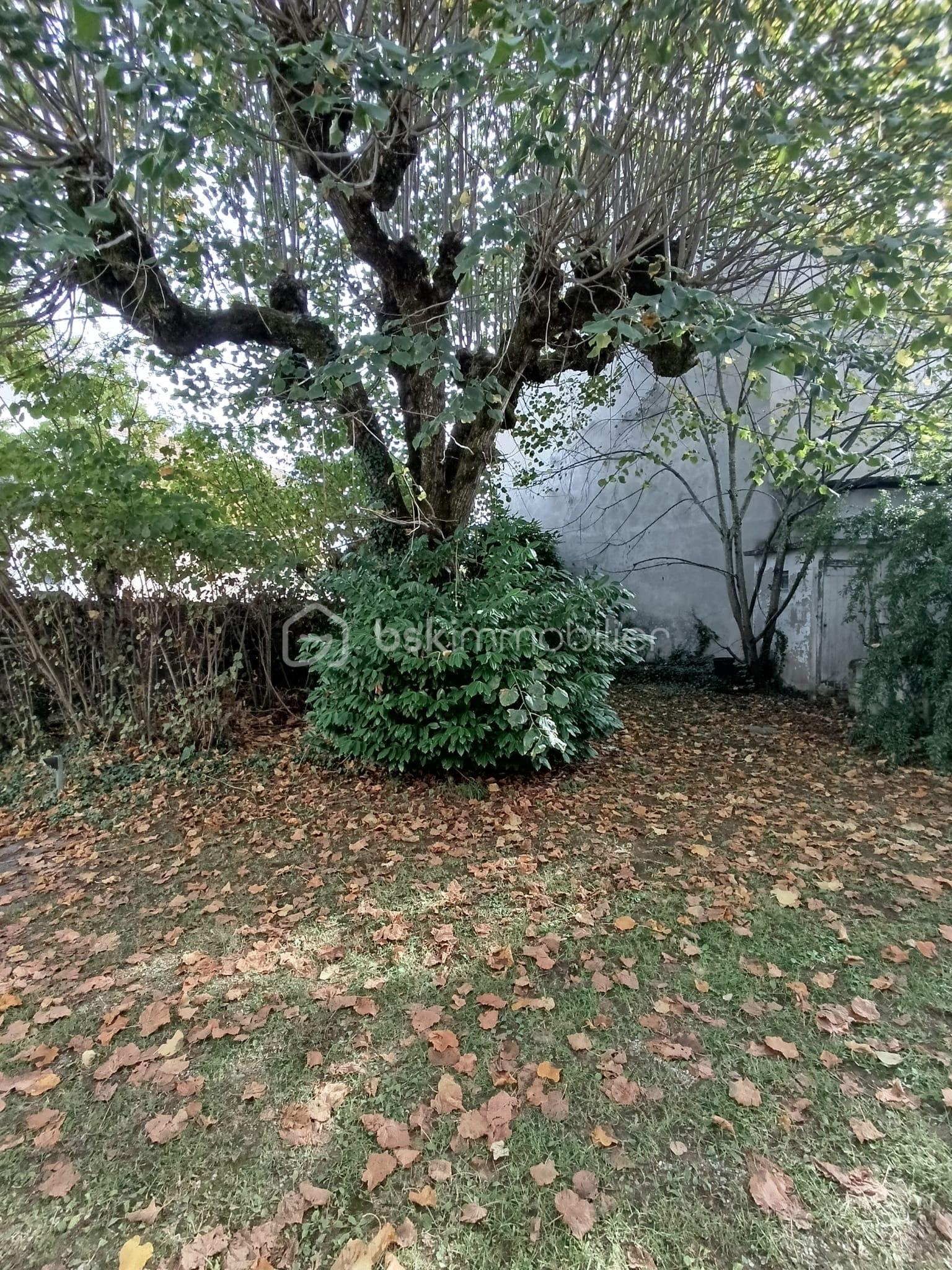 Maison de 303 m² - 674ea654-6b34-4b60-b1fa-658b8aeb5638.jpeg