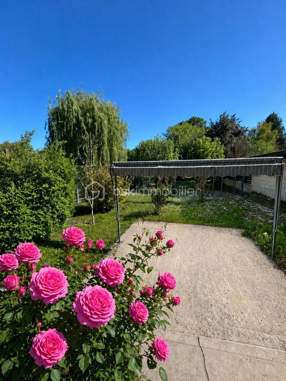 jardin et rosier.jpeg