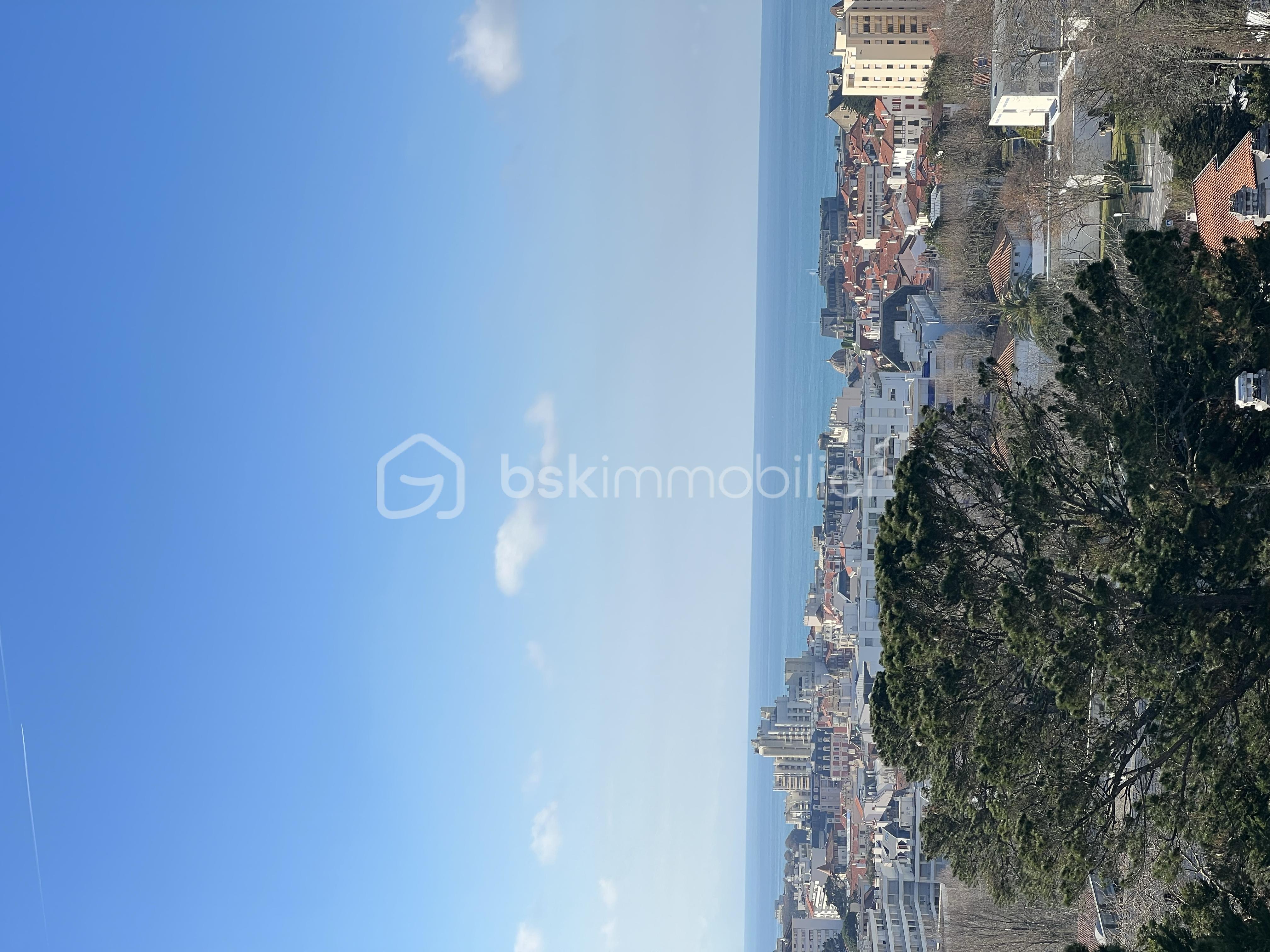 IMG_0891YSaUx8.png