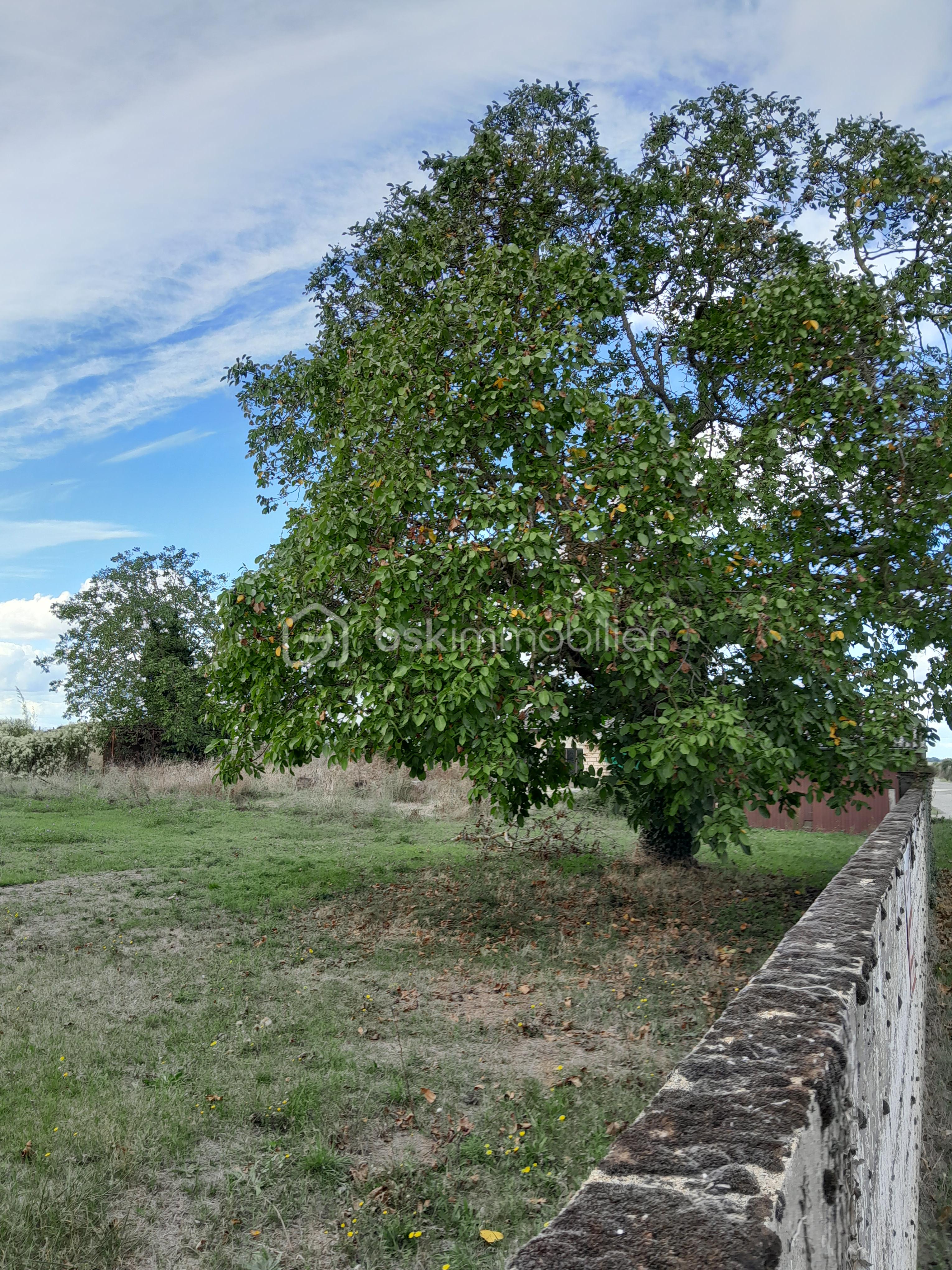 Terrain de 685 m² - 20231003_141906.jpg