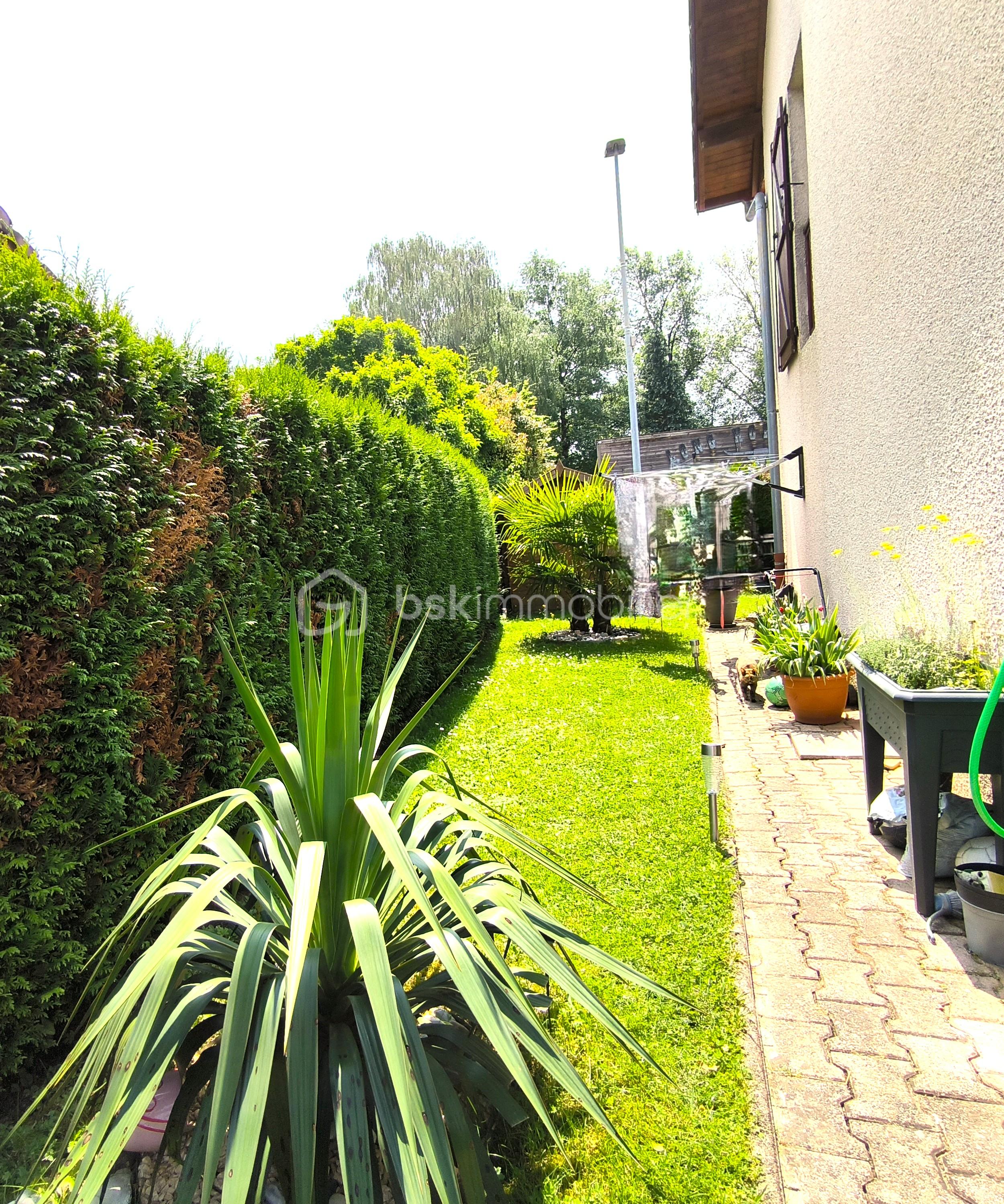 IMG_20250610_143152 NEW.jpg